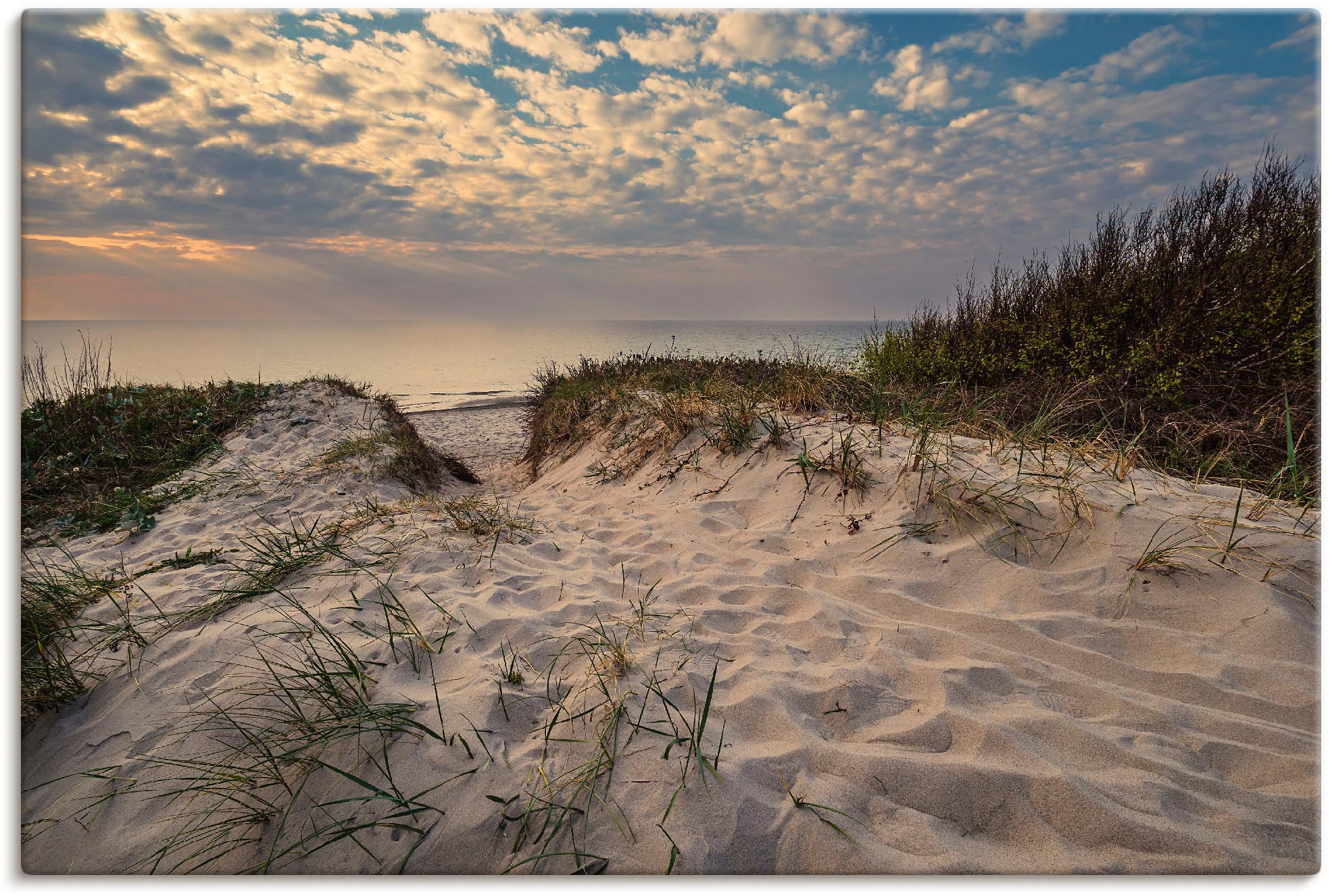 Artland Wandbild »Strand an Küste Graal Größen (1 St.), Alubild, Müritz«, als Ostsee versch. | der in Küstenbilder, oder BAUR bestellen Leinwandbild, Wandaufkleber Poster