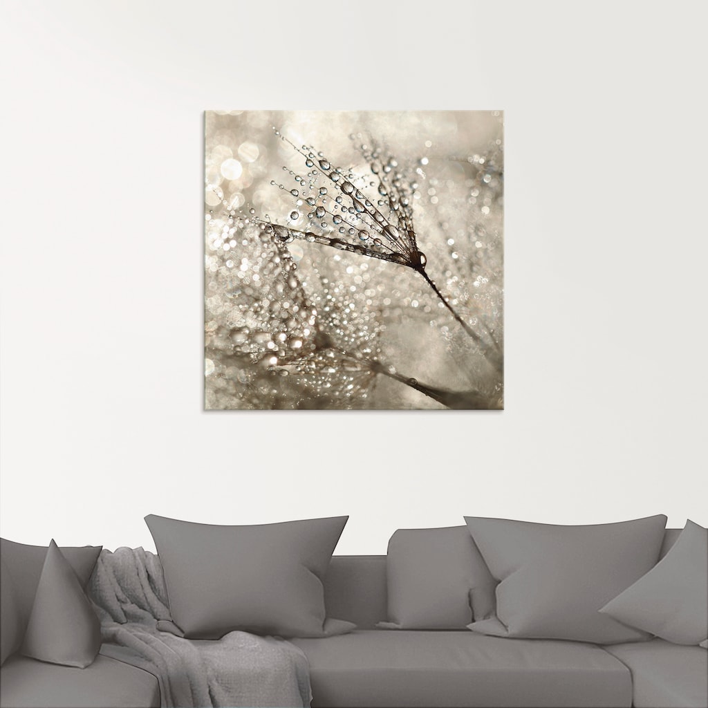 Artland Glasbild »Pusteblume Tautropfen I«, Blumen, (1 St.)