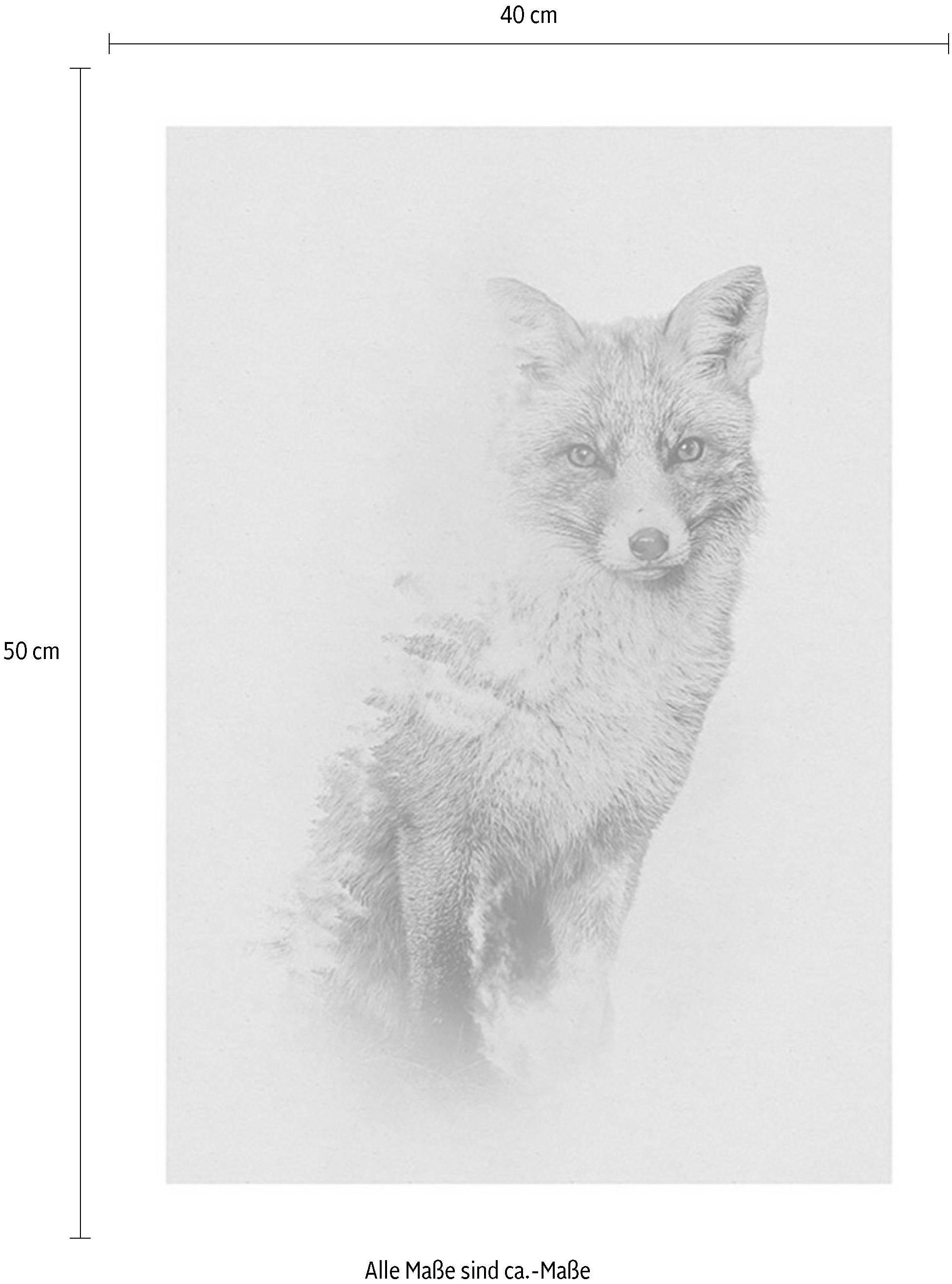 Komar Bild »Animals Forest Fox« Tiere 1 Stk. tlg. Wandbild zur Dekoration - ohne Rahmen