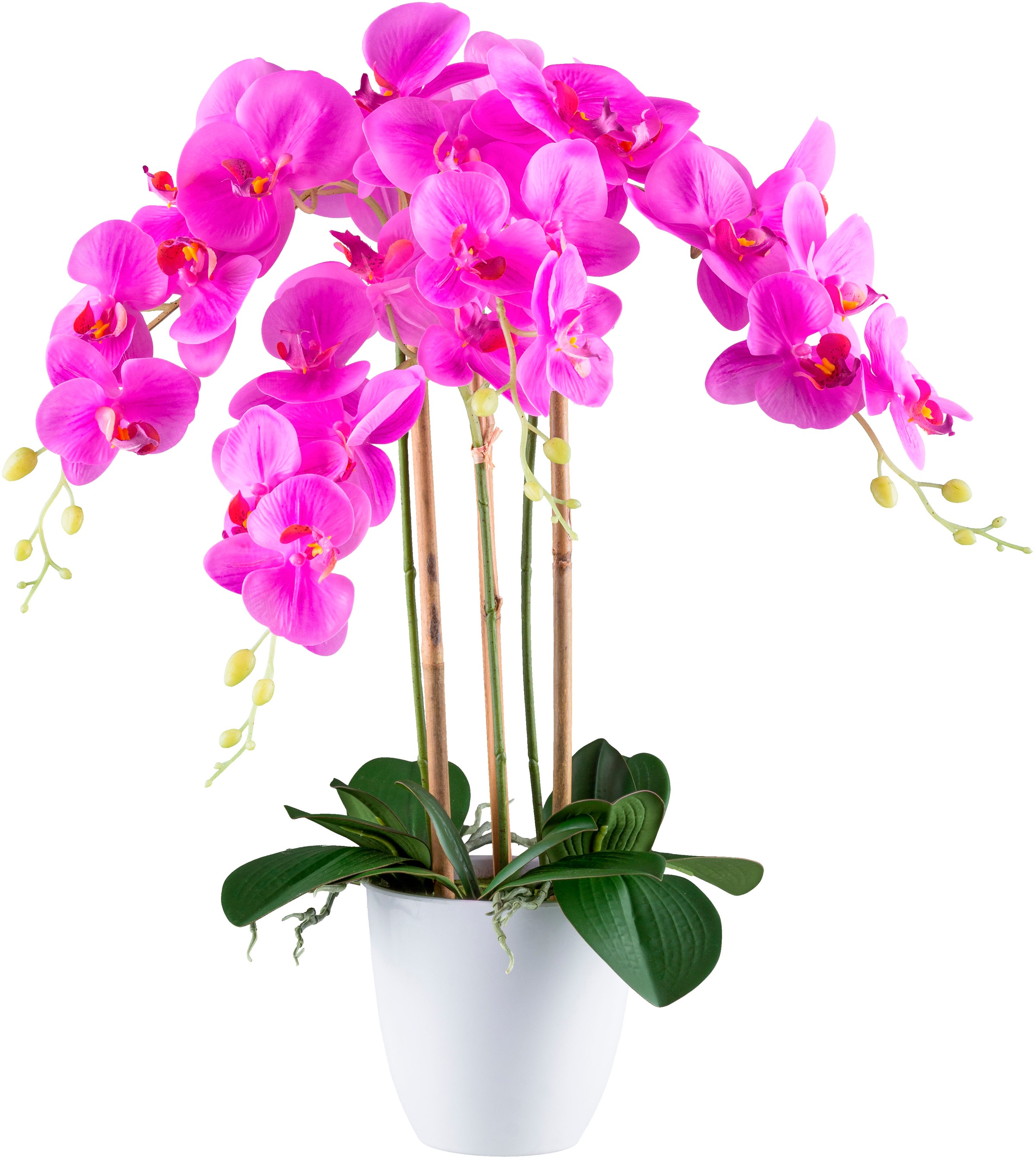 Creativ green Kunstorchidee "Orchidee Phalaenopsis", mit real-touch-Blüten