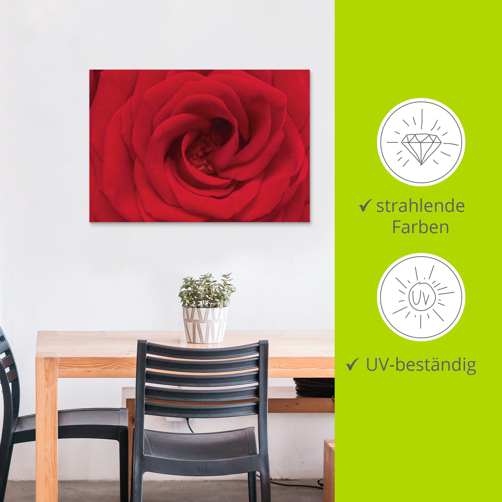 Artland Wandbild »Rote Rose«, Blumen, (1 St.), als Alubild, Outdoorbild, Leinwandbild in verschied. Größen