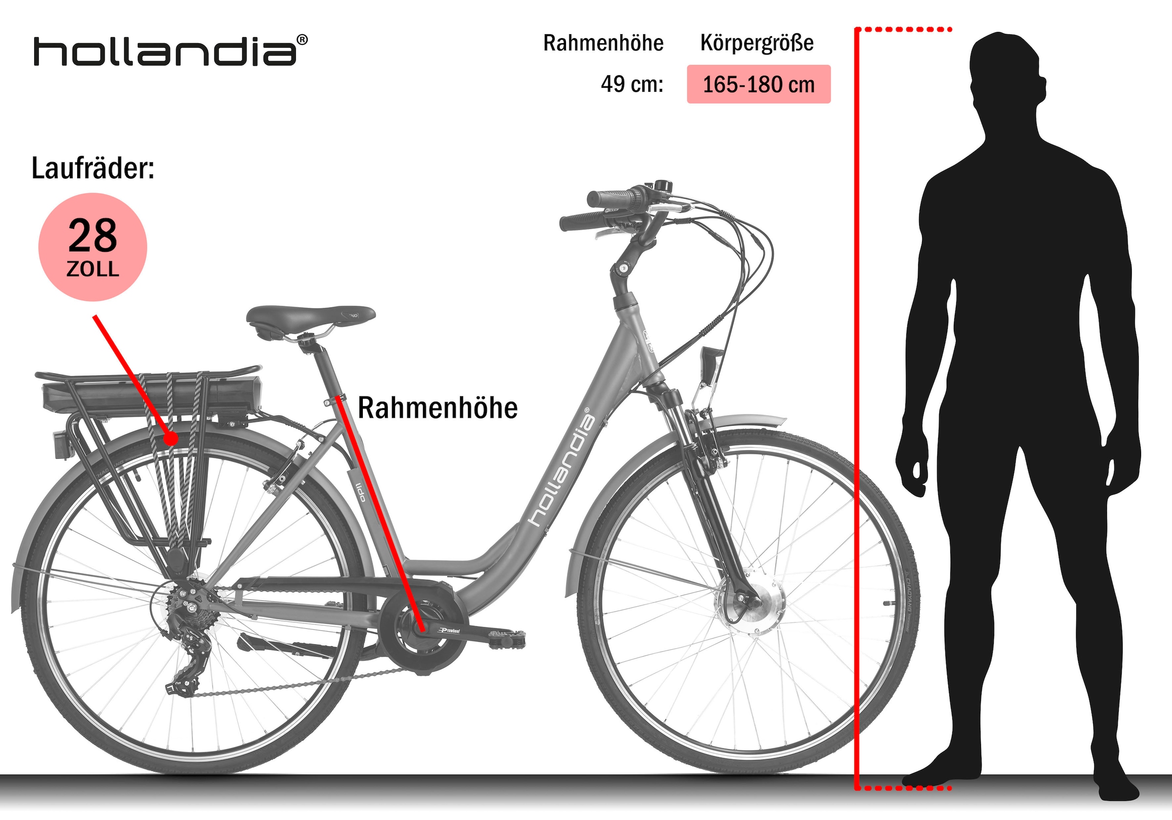 Hollandia »Lido« 7 Gang Shimano Tourney Schaltwerk Kettenschaltung Frontmotor 250 W Pedelec, Elektrofahrrad für Damen u. Herren