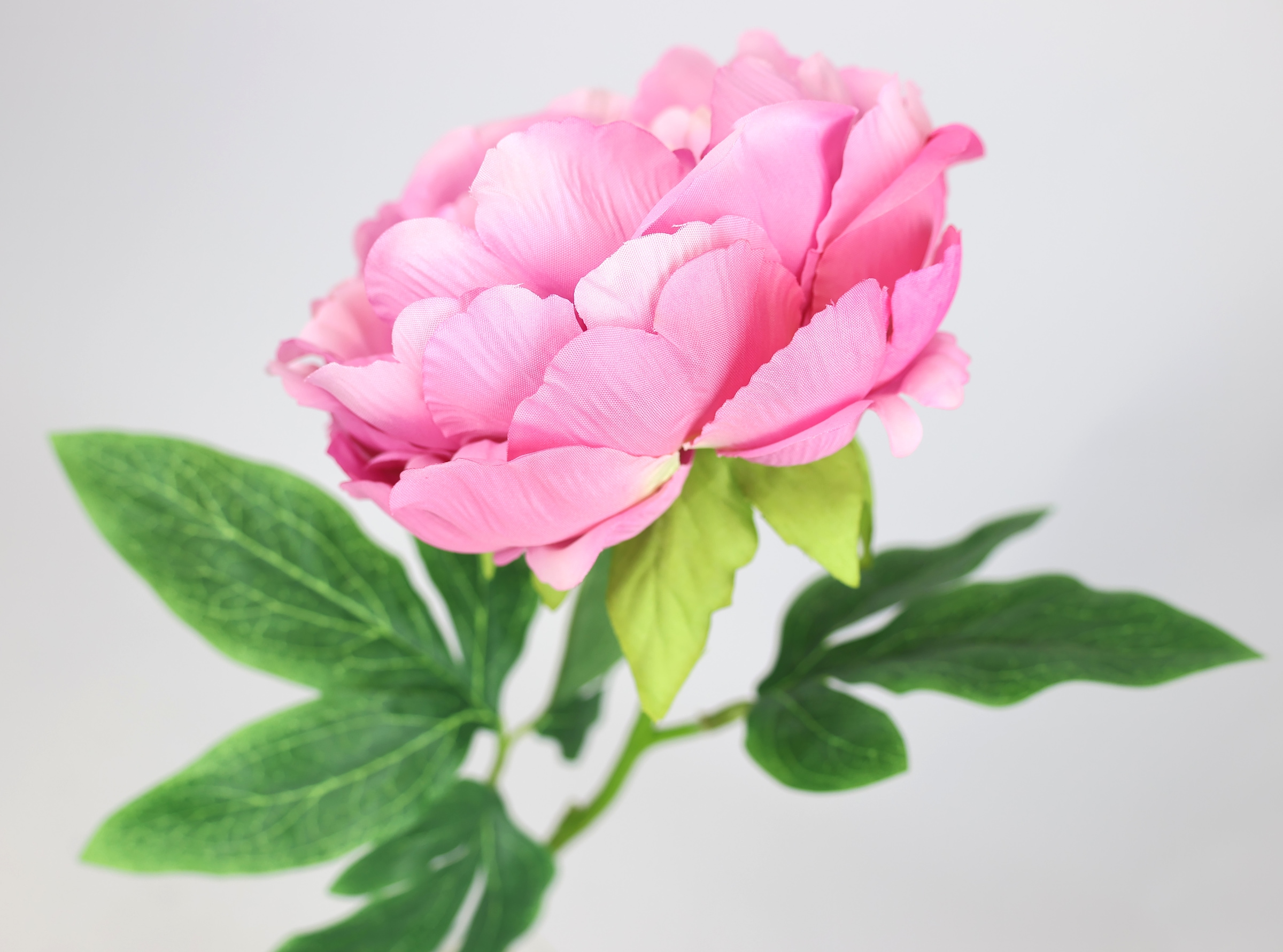 I.GE.A. Kunstblume »Päonie Bauernrose«, Pfingstrosen Einzelblume, 3er Set