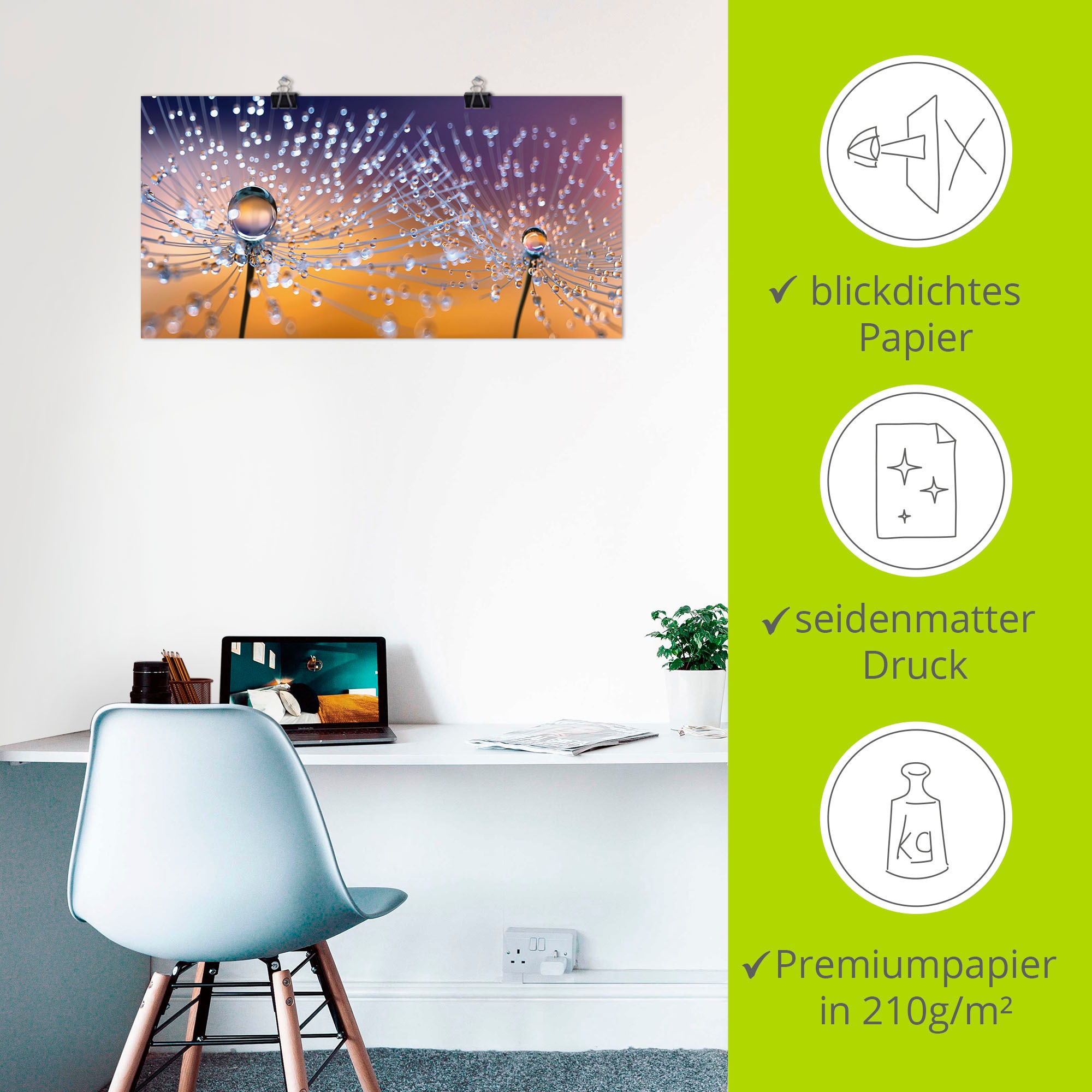 Artland Wandbild »Pusteblumen Tautropfen«, Blumenbilder, (1 St.), als Alubild, Outdoorbild, Leinwandbild, Poster, Wandaufkleber