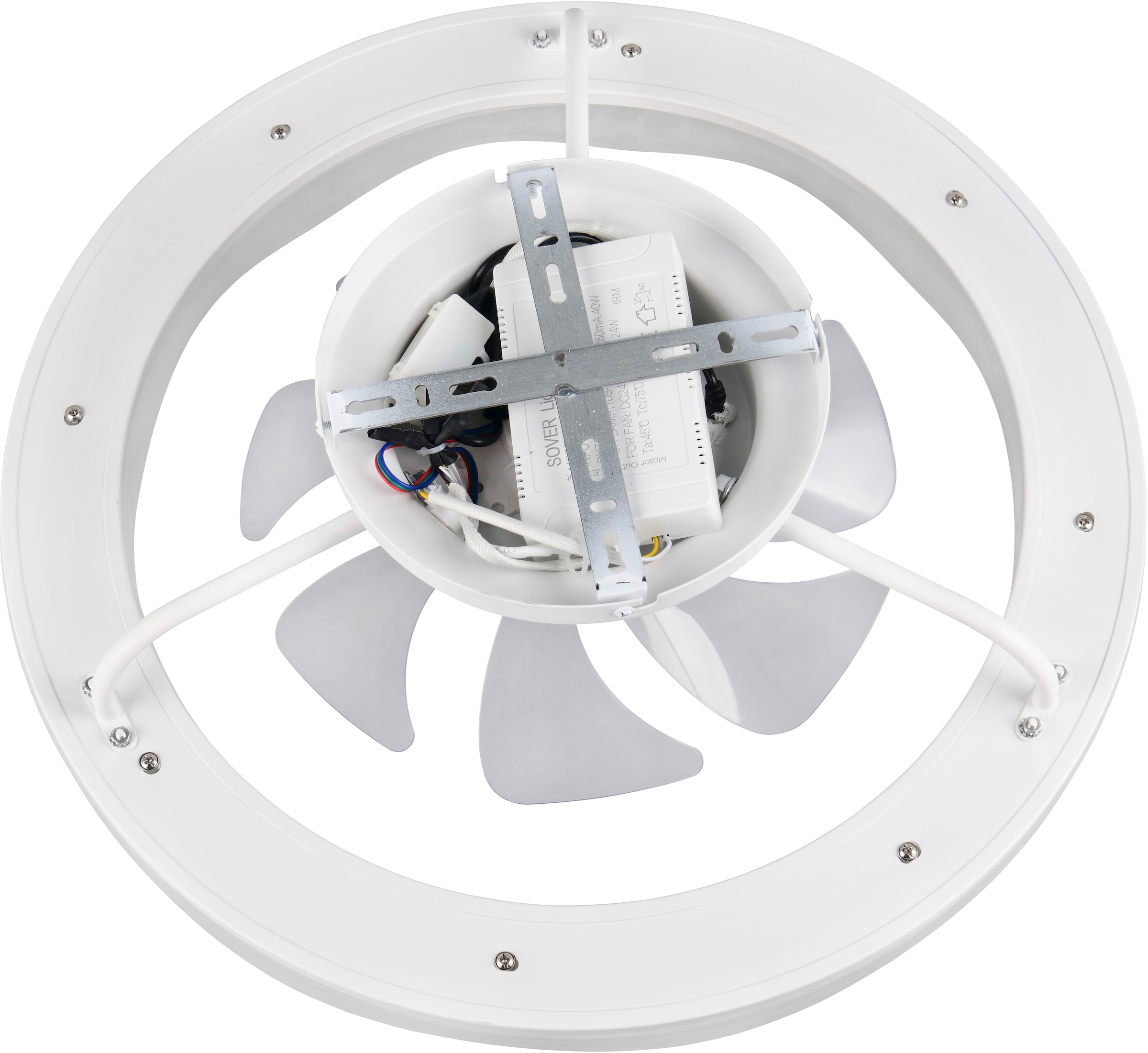 REALITY Leuchten LED Deckenleuchte »SKAULO  mit Ventilator, Deckenventilator + Licht Ø 50cm Fernbedienung« LED-Board 1 Stk. Farbwechsler | warmweiß - kaltweiß 35W LED mit CCT Nachtlicht Memory Timer Fernbedienung dimmbar