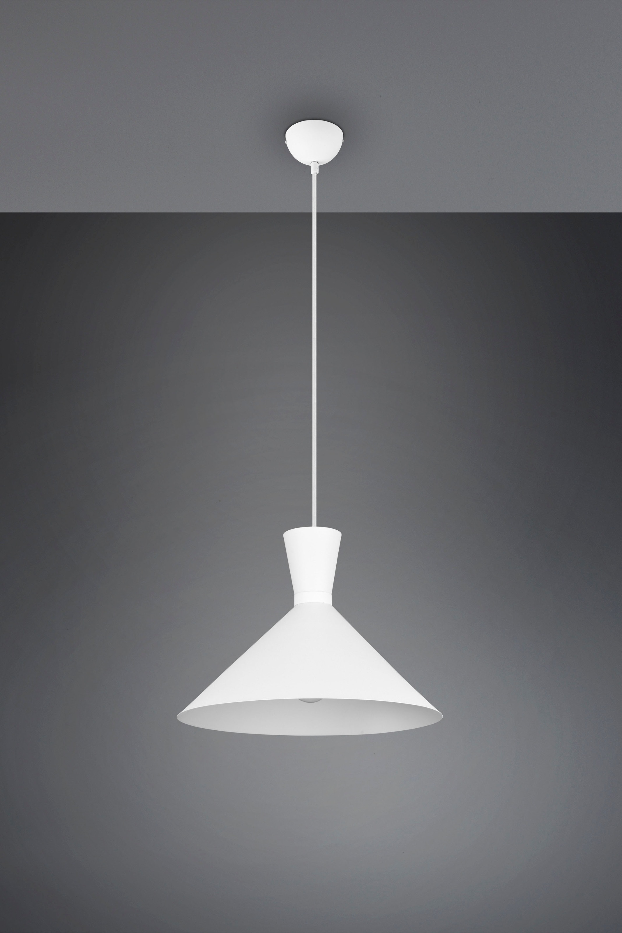 REALITY Leuchten Pendelleuchte »Enzo« E27 1 Stk. warmweiß - kaltweiß Hängelampe 1-flammig, E27 max 28W (exkl.), höhenverstellbar, Ø 35cm