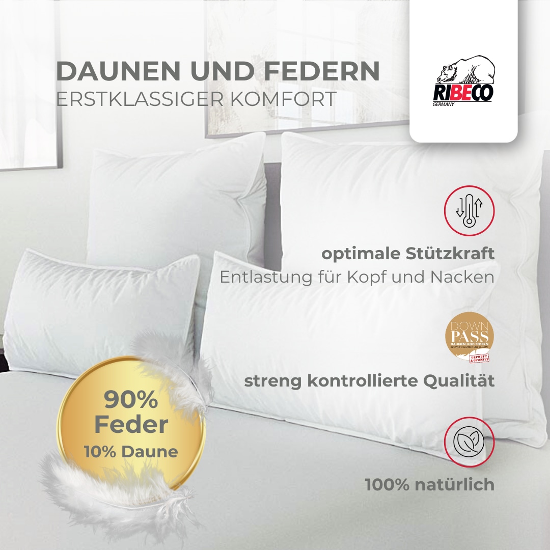 RIBECO Federkissen "Johanna Kopfkissen 1-tlg. oder 2-tlg.: 40x80 cm, 80x80 günstig online kaufen