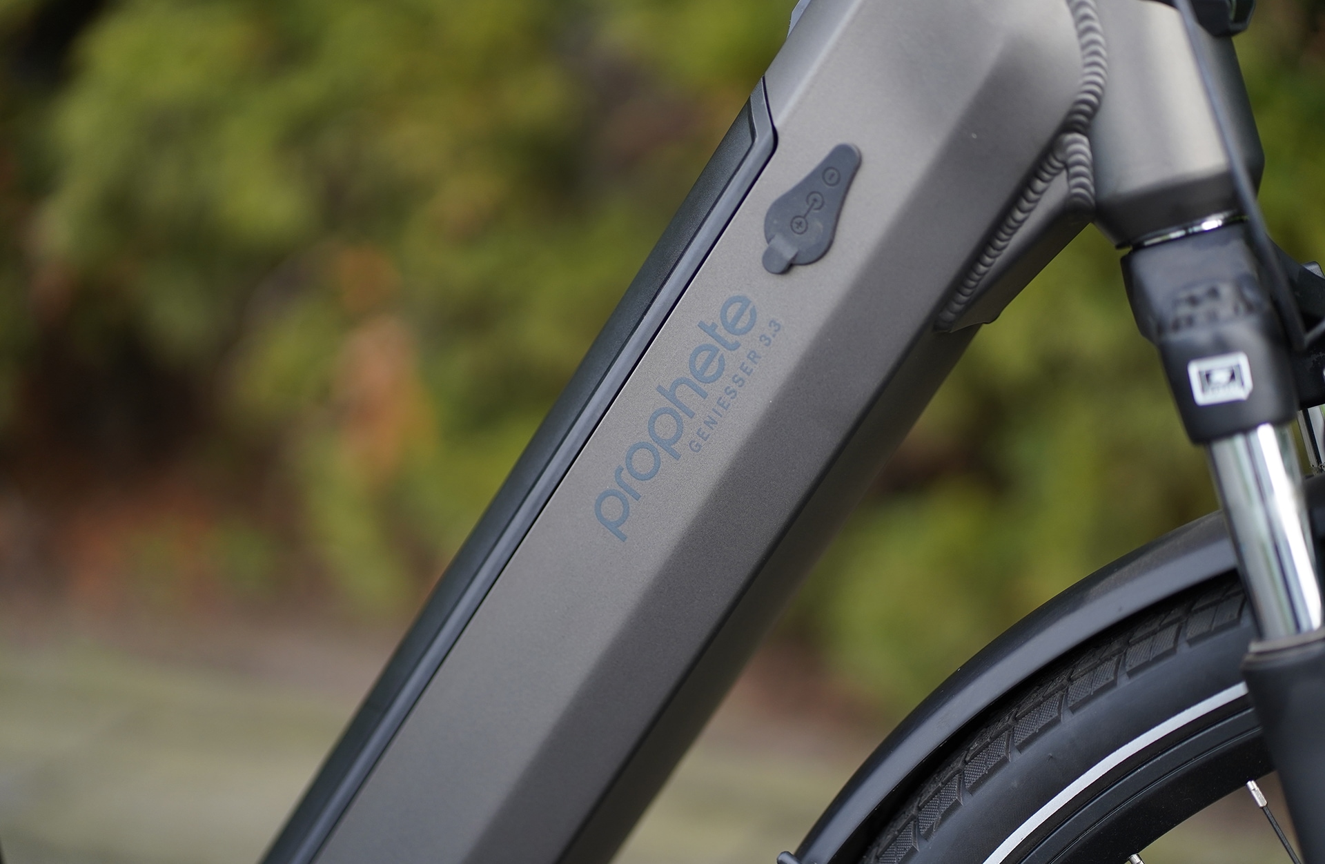 Prophete »Prophete Geniesser 3.3« 7 Gang Shimano Nexus Schaltwerk Nabenschaltung Mittelmotor 250 W
