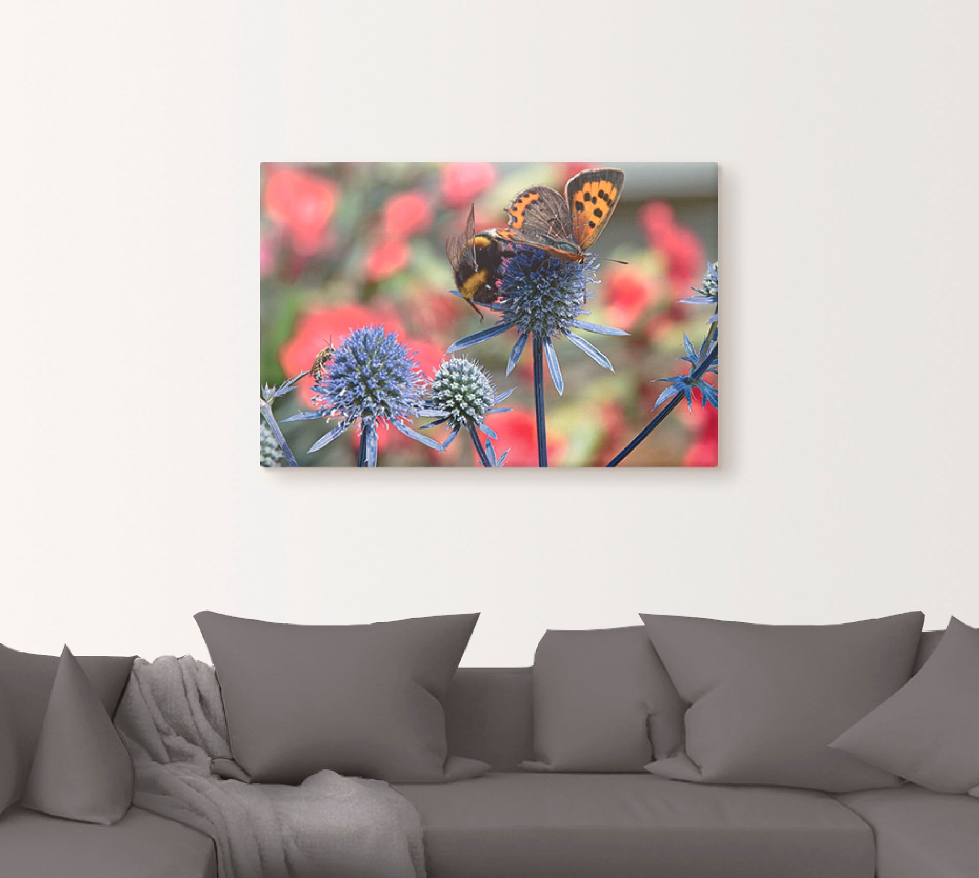 Artland Wandbild "Kleiner Feuerfalter und Hummel", Insekten, (1 St.), als A günstig online kaufen