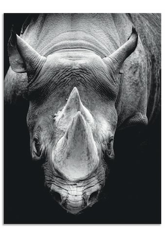 Artland Paveikslas »Das Nashorn« Wildtiere (1 ...