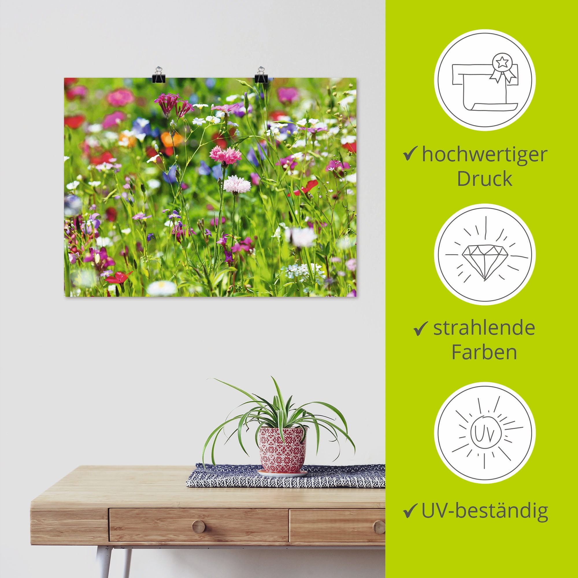 Artland Wandbild »Blumenwiese I« Blumenwiese 1 Stk. tlg. als Leinwandbild, Poster in verschied. Größen