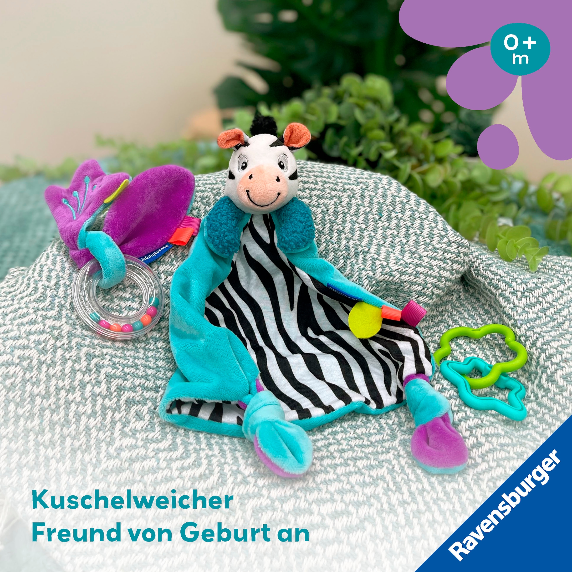 Ravensburger Greifspielzeug »Play+ Fühlen, rasseln, spielen (Geschenk-Set: Zebra)«