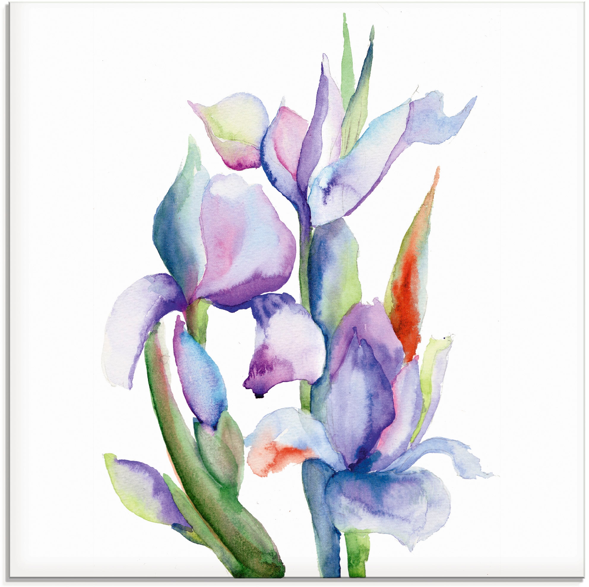 Artland Glasbild "Iris" Blumen 1 Stk. tlg. in verschiedenen Größen
