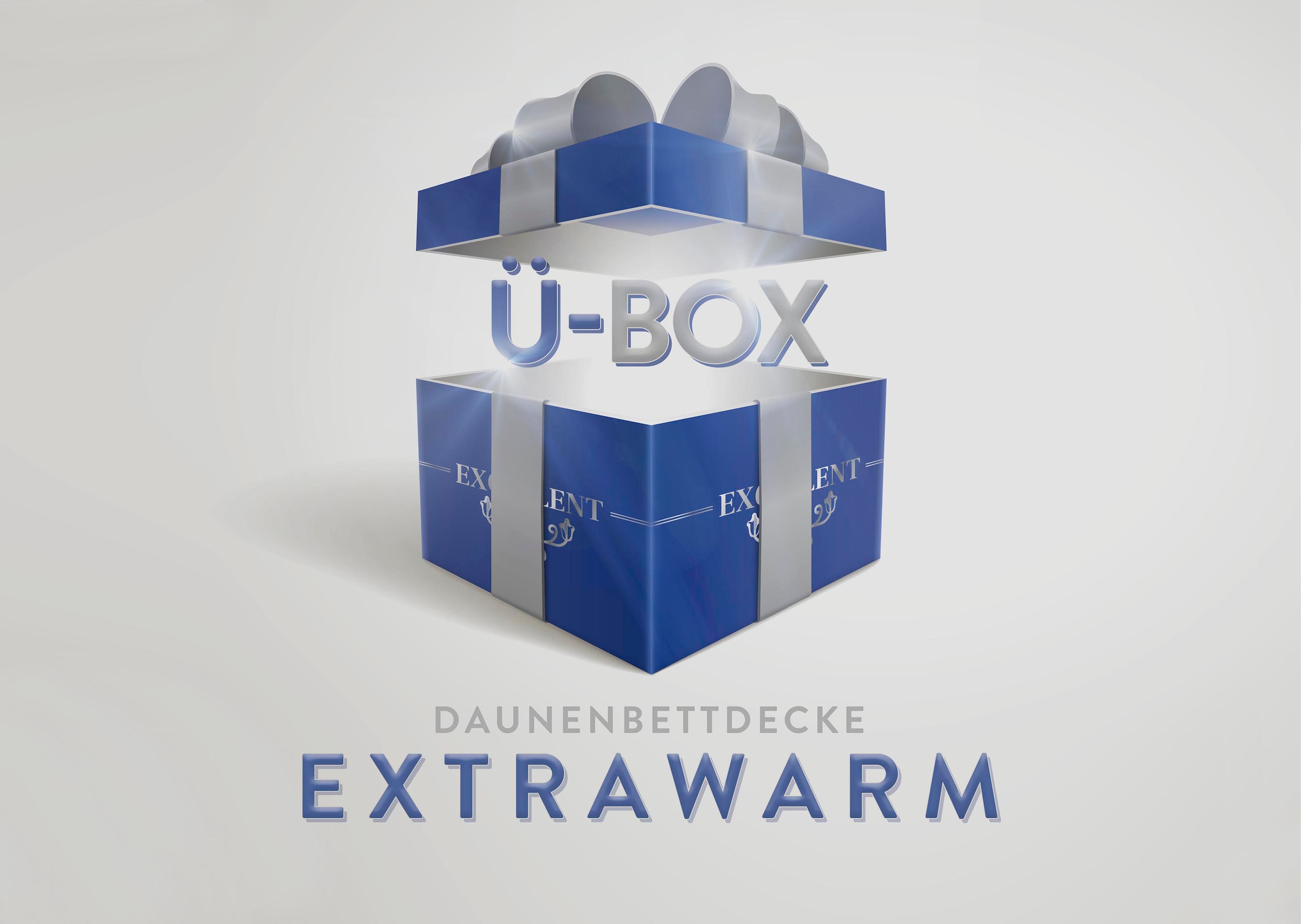 Excellent Daunenbettdecke »Überraschungsbox« ext...