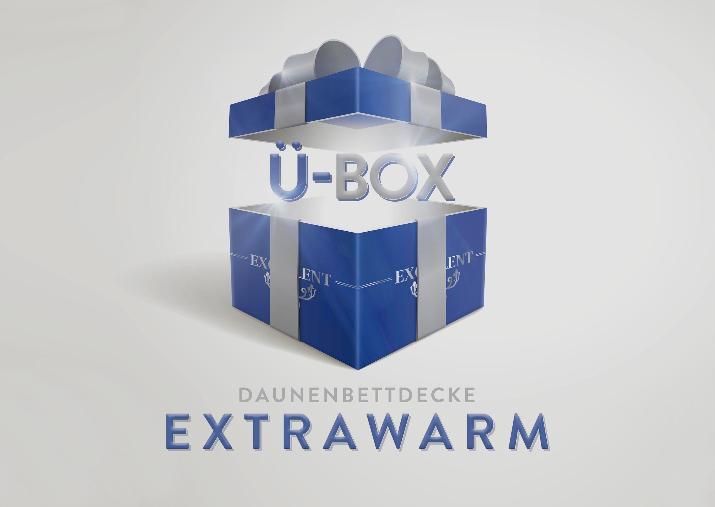 Excellent Daunenbettdecke "Überraschungsbox", extrawarm, Füllung 90% Daunen, 10% Federn, Bezug Baumwolle, (1 St.), absol