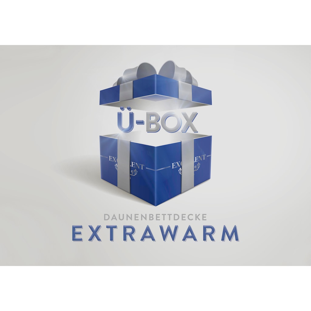 Excellent Daunenbettdecke »Überraschungsbox«, extrawarm, Füllung 90% Daunen, 10% Federn, Bezug Baumwolle, (1 St.)