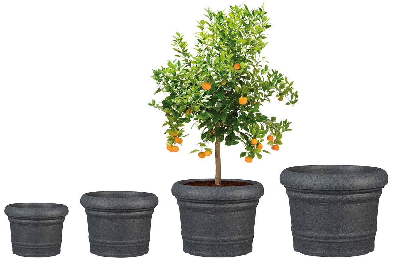 Scheurich Blumentopf »40/064 FORMIA«
