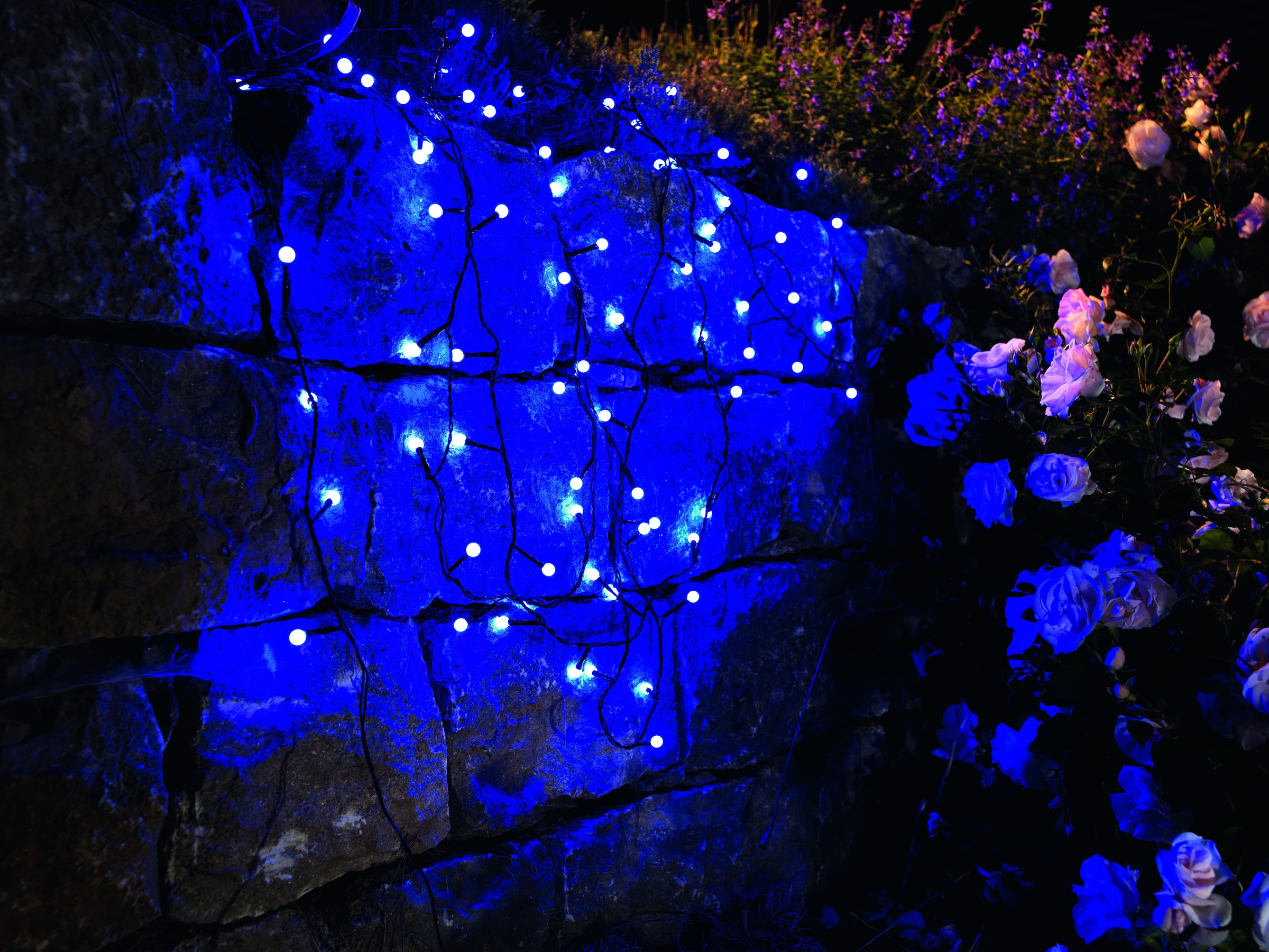 KONSTSMIDE LED-Lichterkette »Weihnachtsdeko blaue LED runde Dioden aussen«, St.-flammig, Globelichterkette, 80 Dioden, BAUR | bestellen 80