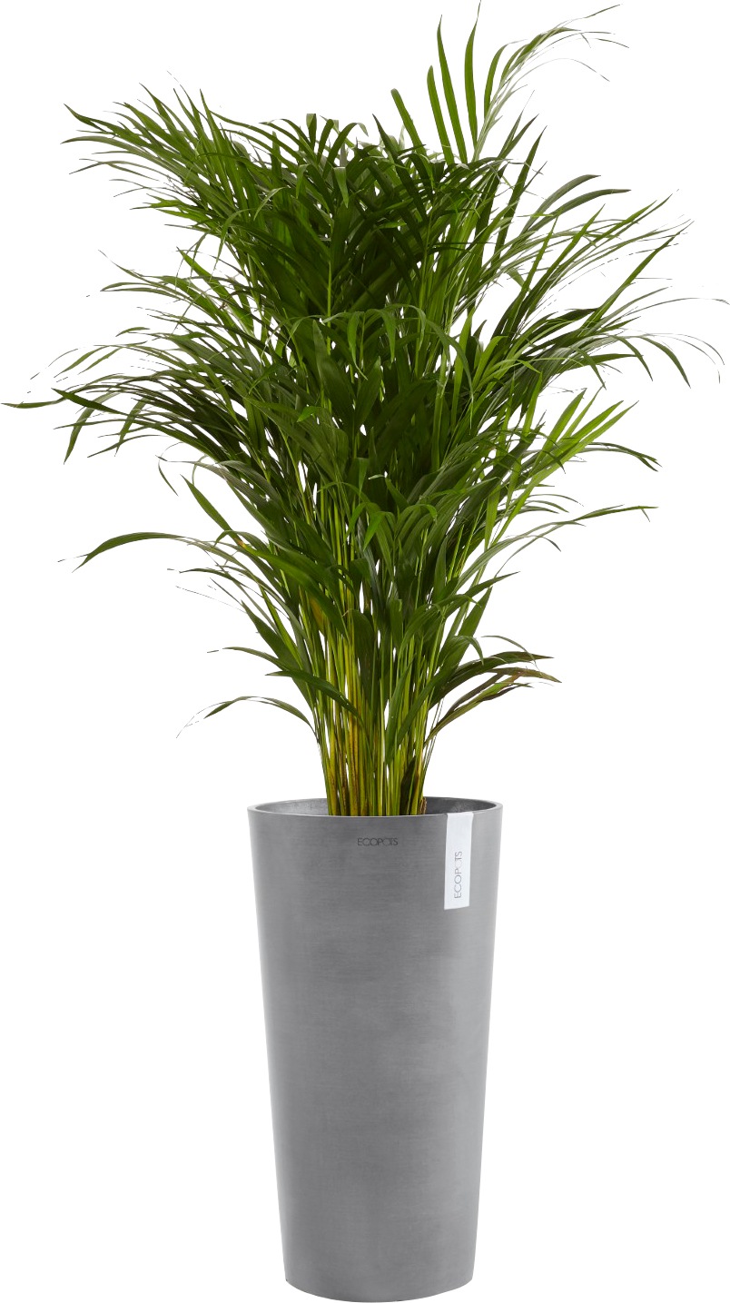 ECOPOTS Blumentopf »AMSTERDAM MID HIGH Grey«, BxTxH: 34x34x66 cm
