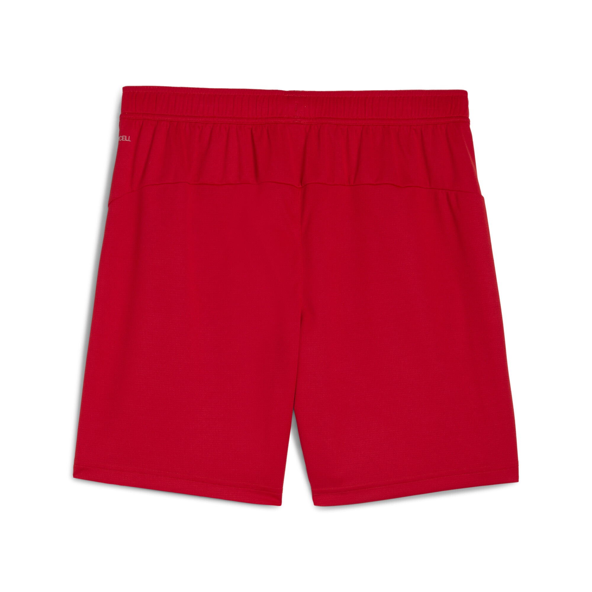 PUMA Sporthose »RC Lens 25/26 Shorts Herren«