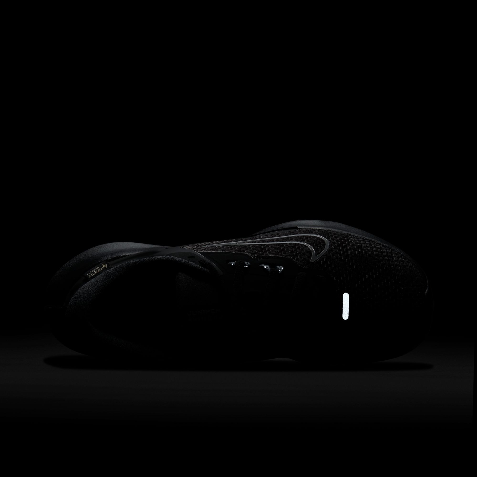 Nike Trailrunningschuh »Juniper Trail 2 GORE-TEX«  wasserdicht