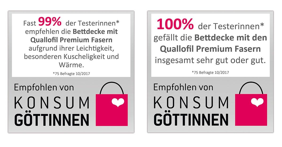 fan Kunstfaserbettdecke »First Class«, warm, Bezug 100% Baumwolle, (1 St.)