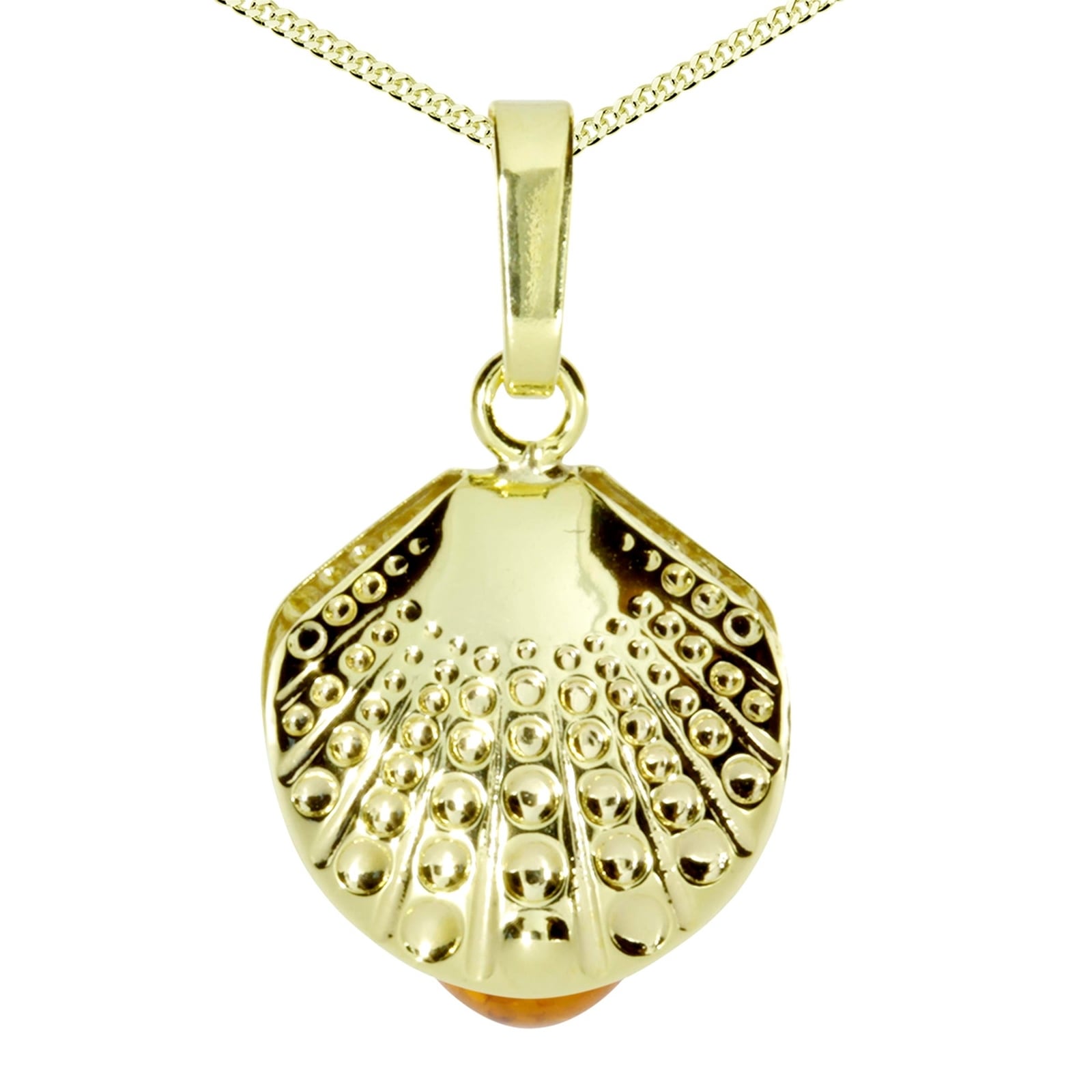 OSTSEE-SCHMUCK Kette und Anhänger Set »- Muschel - Gold 333/000 - Bernstein«