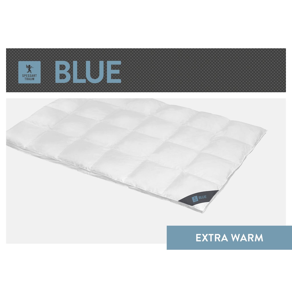 SPESSARTTRAUM Daunenbettdecke »Blue«, extrawarm, Füllung 60% Daunen, 40% Federn, Bezug 100% Baumwolle, (1 St.)