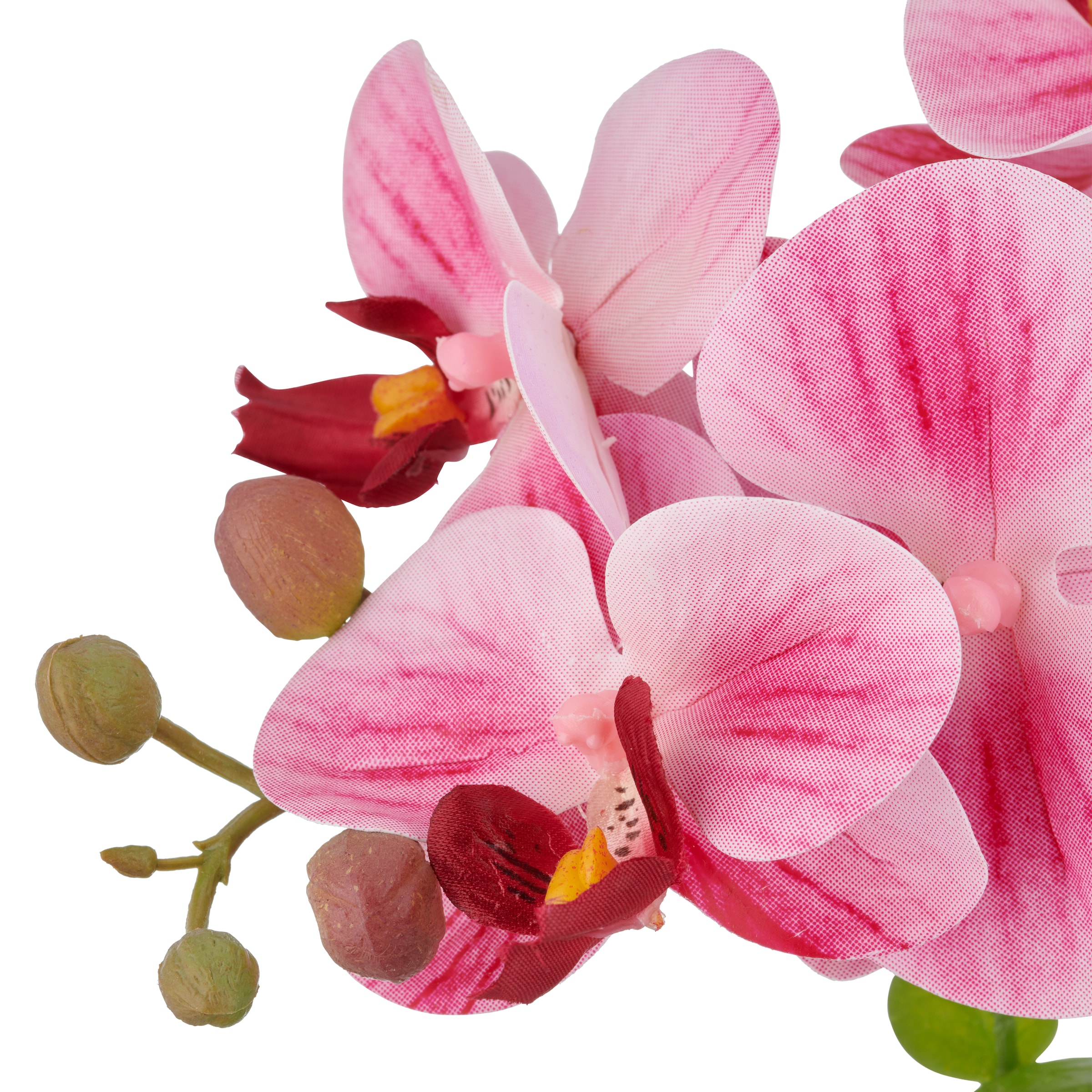 Creativ green Kunstorchidee »Orchidee Phalaenopsis«, mit Eukalyptuszweigen