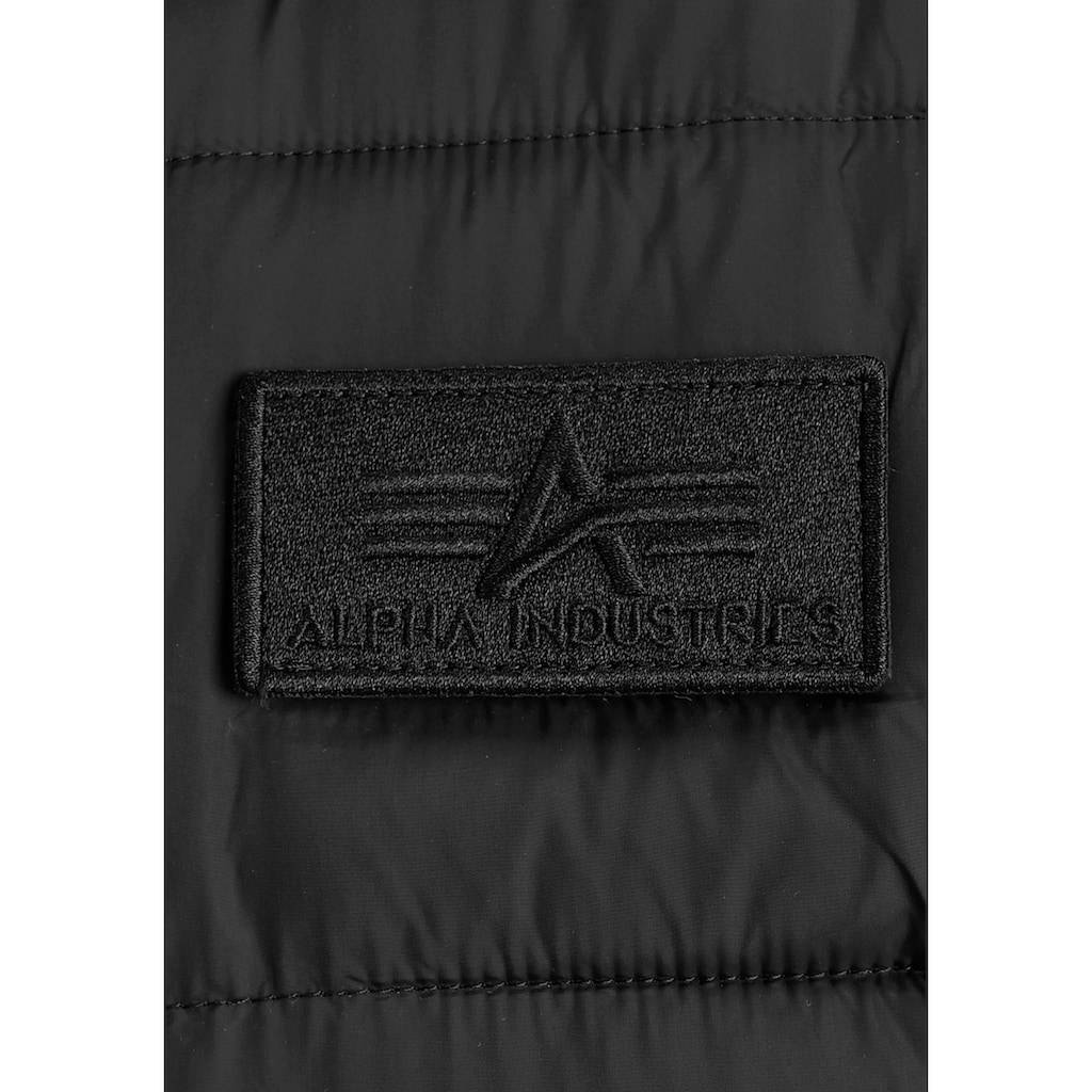 Alpha Industries Steppjacke »MA-1 ZH Back Print«, mit Kapuze