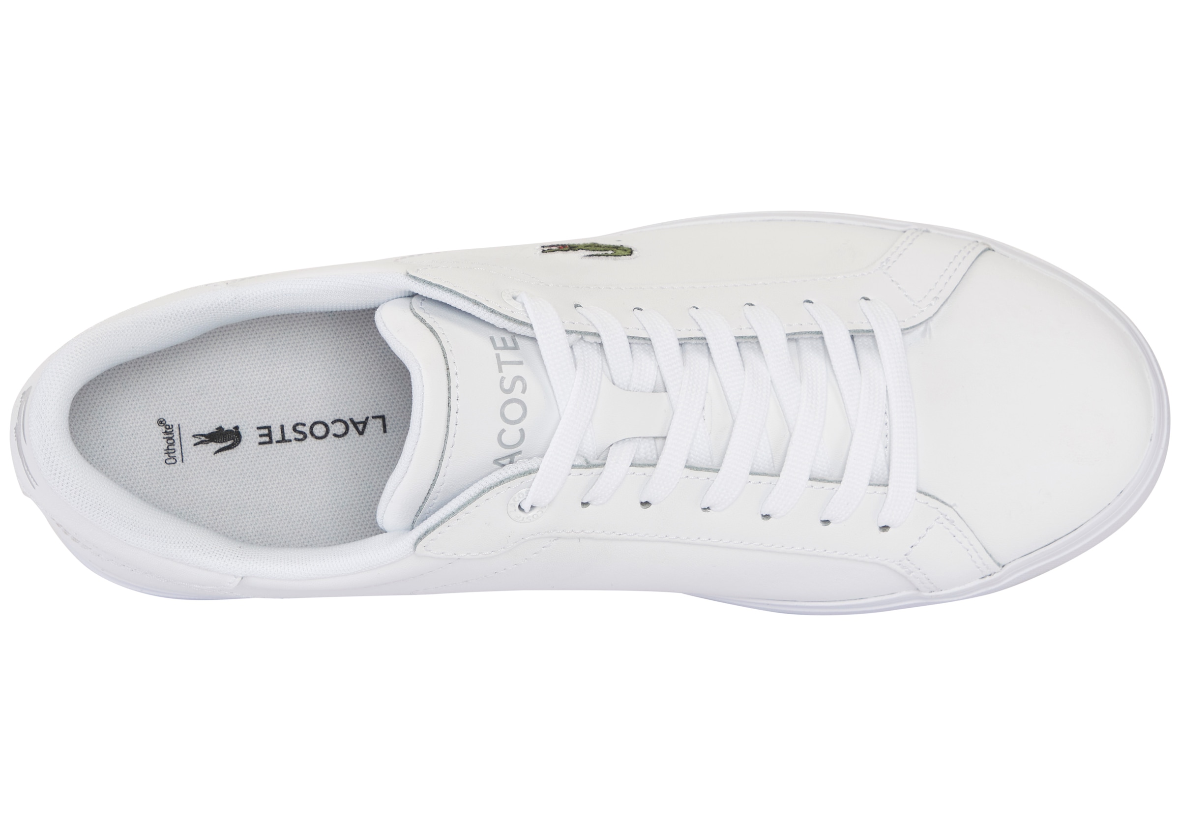 Lacoste Sneaker »POWERCOURT«
