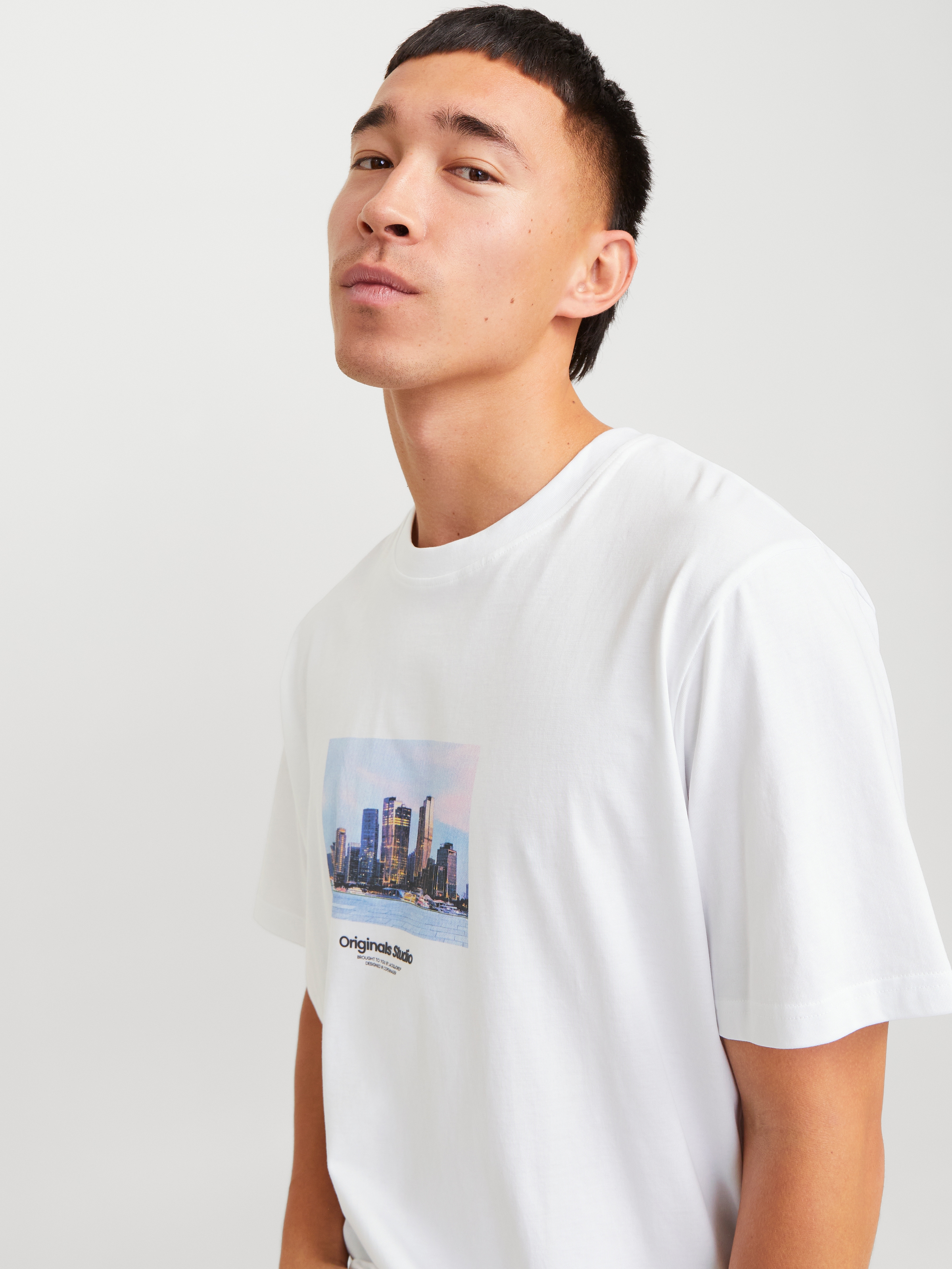 Jack & Jones Kurzarmshirt »JORVESTERBRO PICTURE TEE SS CREW NECK SN«