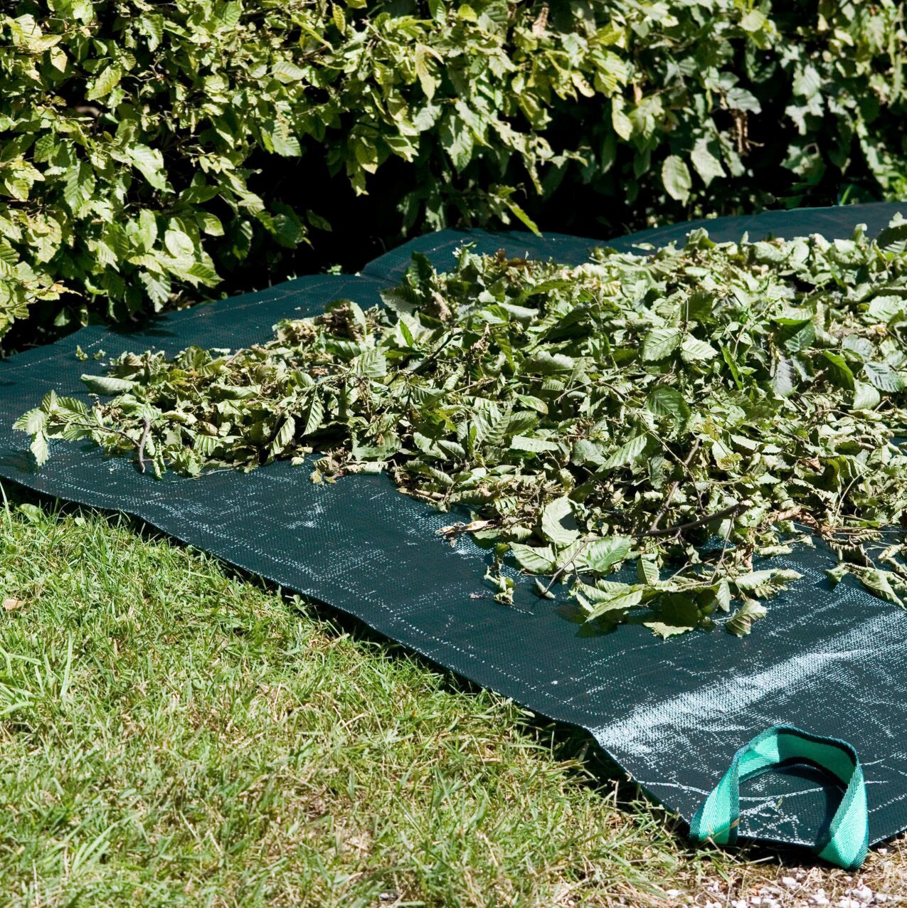 Windhager Schutzplane, LxB: 1,4x1 m, Transporthilfe oder Schutz für Boden und Kofferraum