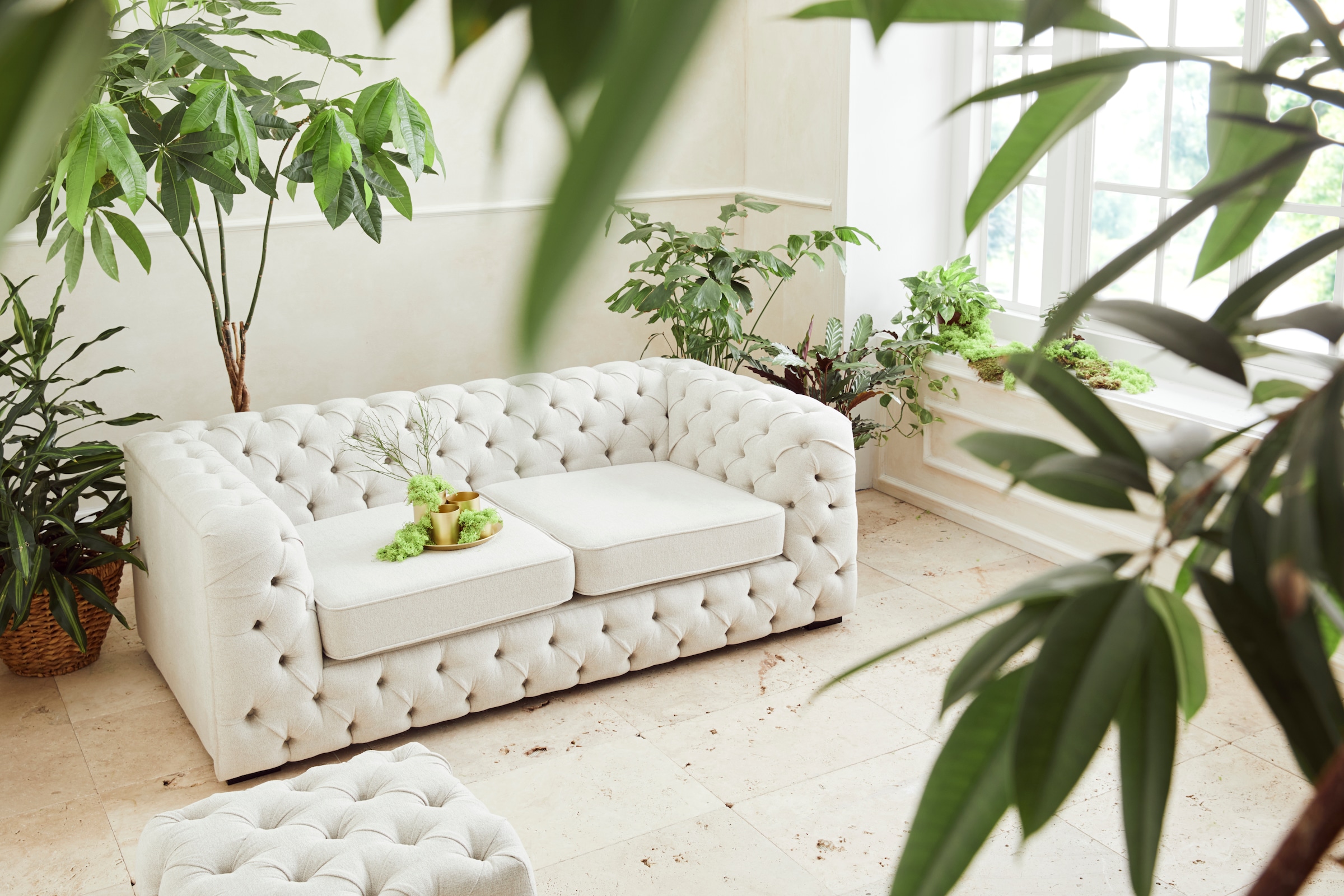 Guido Maria Kretschmer Home&Living Chesterfield-Sofa »Kalina«, mit klassischer Chesterfield-Knopfheftung