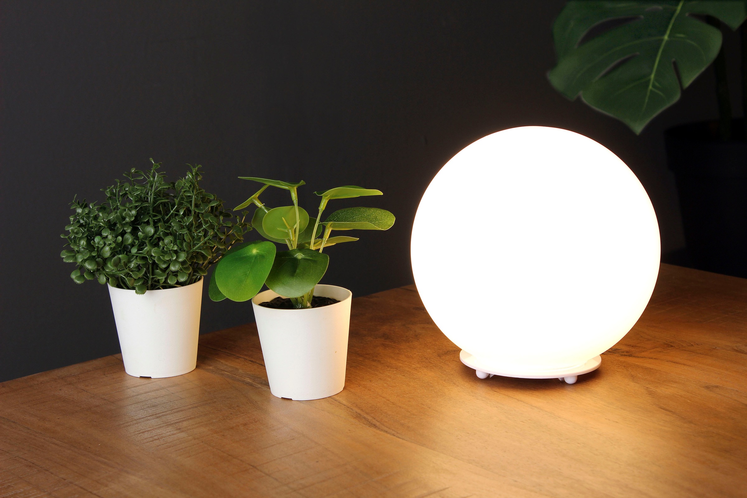 ECO-LIGHT Tischleuchte »City«, Leuchtmittel E14 | ohne Leuchtmittel