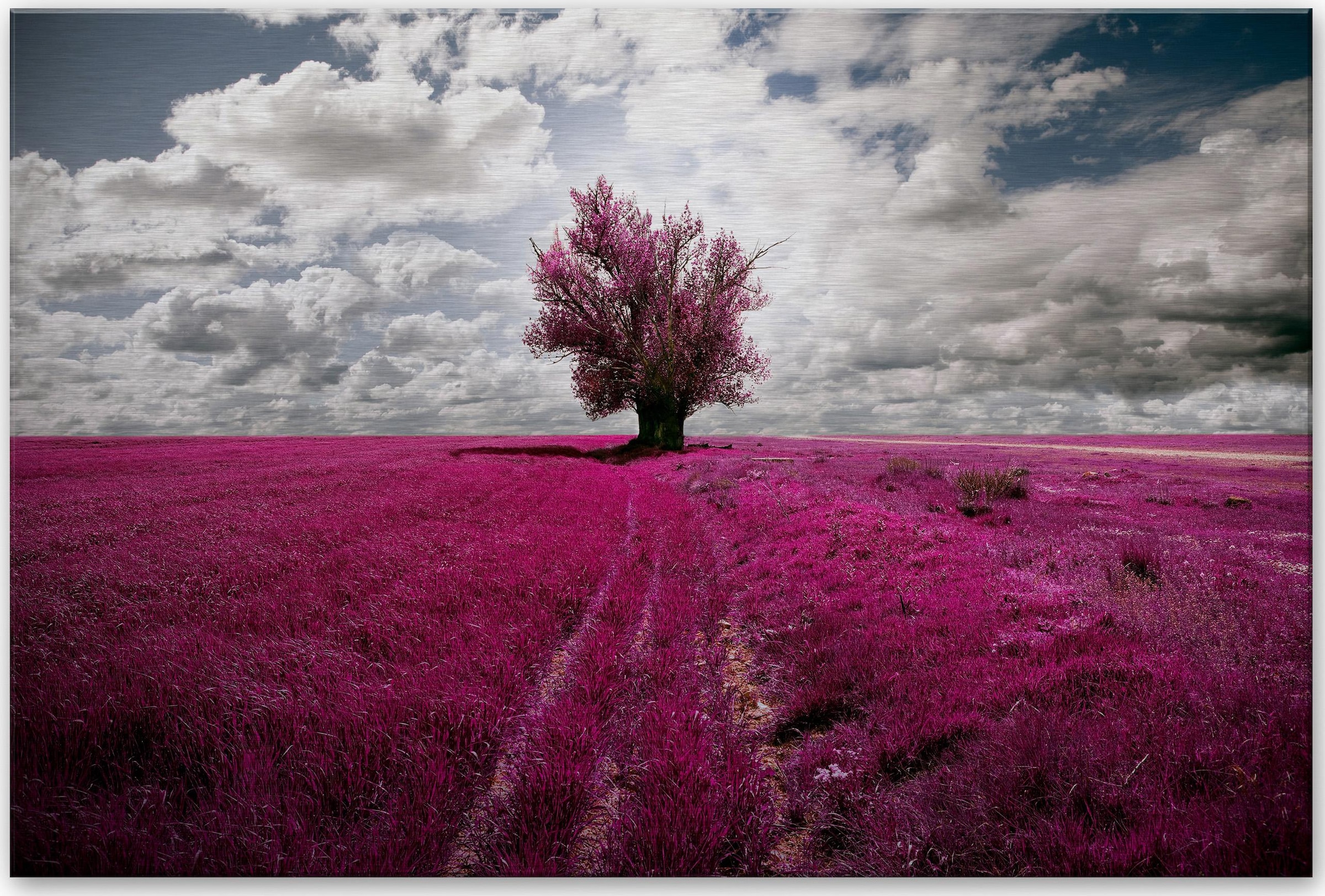 Metallbild »The Lonely Tree Blühender Baum«, in 2 Größen