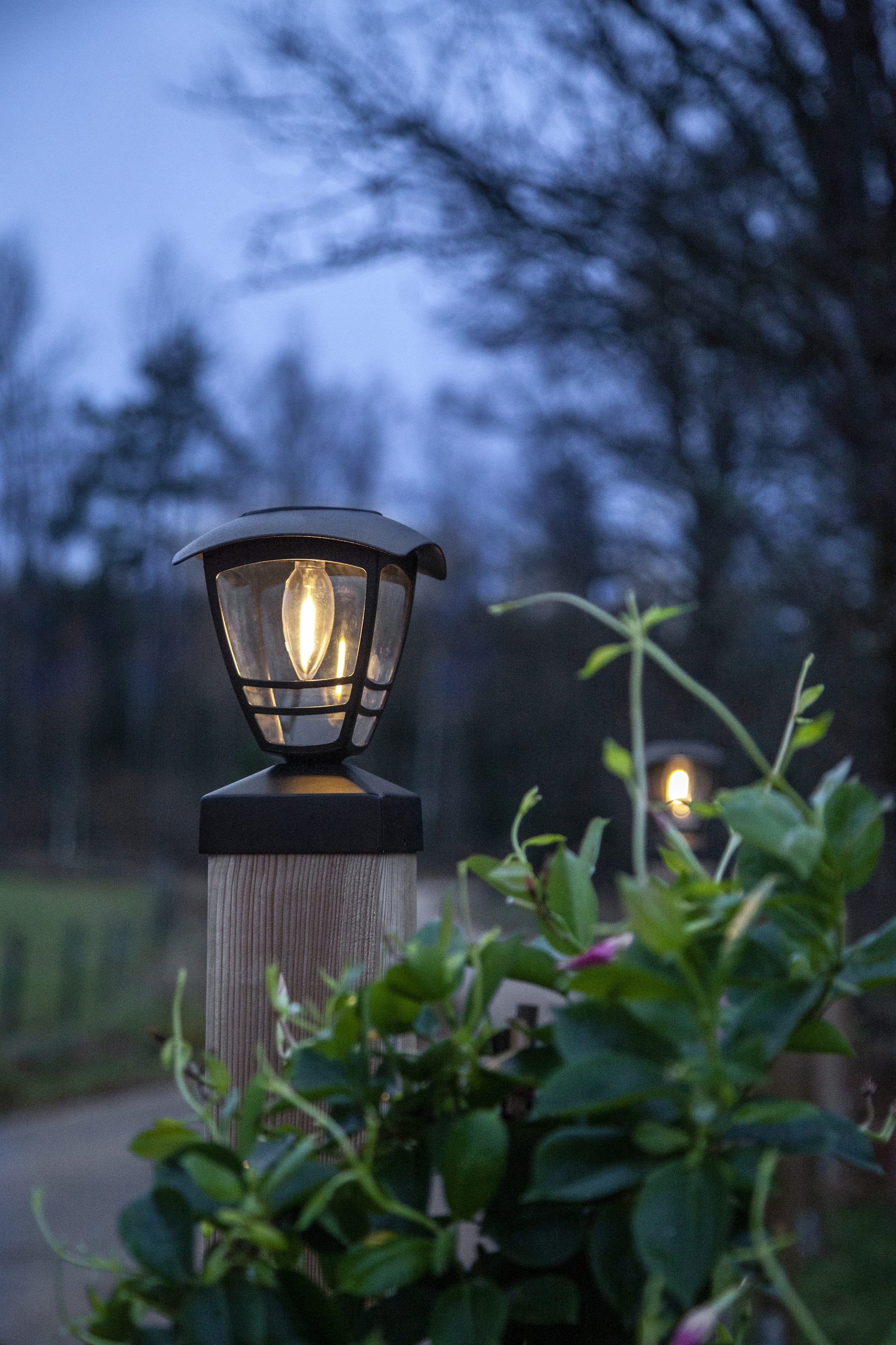 Parforce Traditional Hunting LED Solarleuchte »Solar Dekoration Felix« LED-Board 1 Stk. Warmweiß Pfostenleuchte mit Filament-LED, Dämmerungssensor