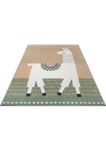 HANSE Home Kilimas »Alpaca Dolly« rechteckig Farb...