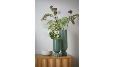 Vasen Grün online kaufen| BAUR