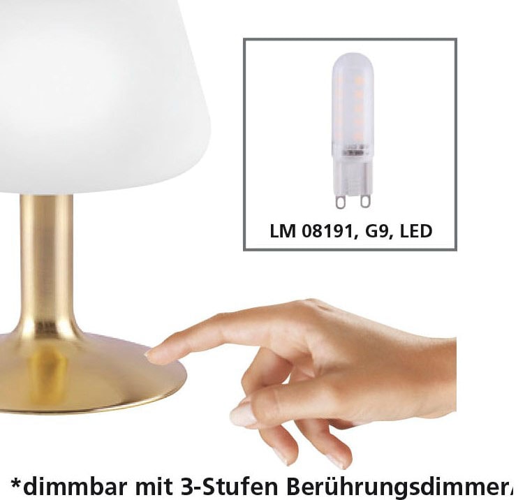 Paul Neuhaus LED Tischleuchte »Till«, 1 flammig-flammig, 3-Stufen Touchdimmer