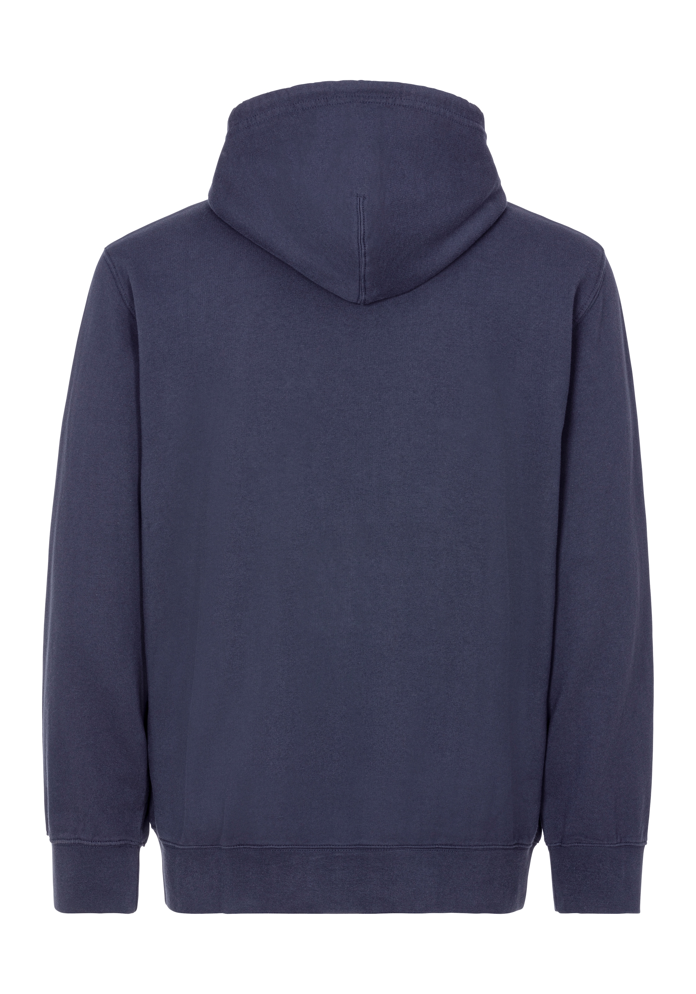 Levi's® Plus Kapuzensweatshirt, mit dezentem Levi's® Batwing Logo