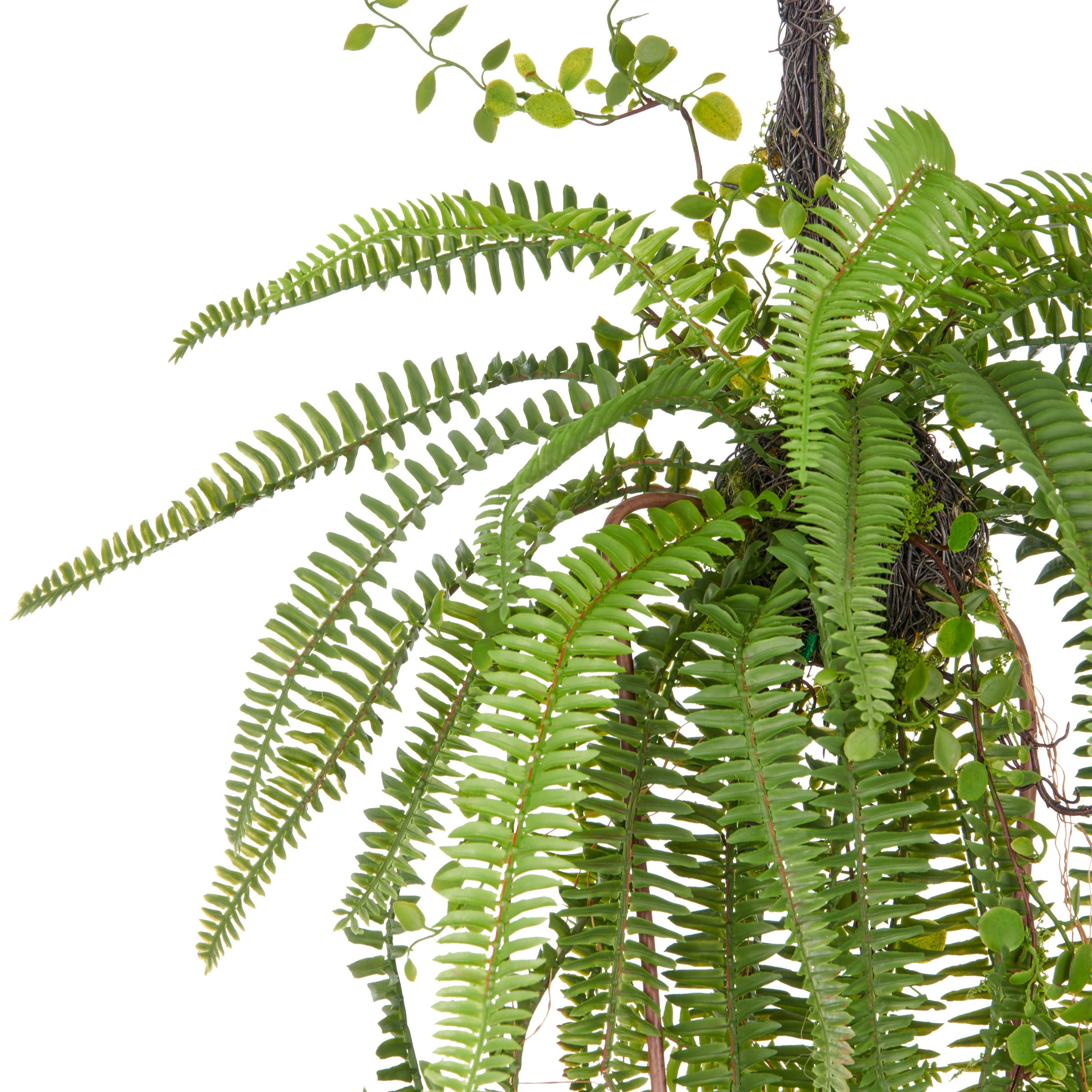 Creativ green Kunstpflanze "Farn", mit detailgetreuen Farnwedeln an Reisigk günstig online kaufen