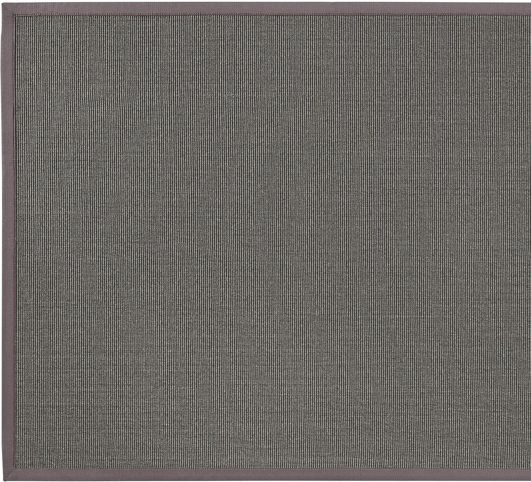 Sisalteppich DEKOWE "Mara S2 mit Bordüre", silber (silberfarben), B:67cm H:5mm L:133cm, Sisal, Teppiche, Sisalteppich, Flachgewebe, Material: 100% Sisal, Wohnzimmer, Kundenliebling 2