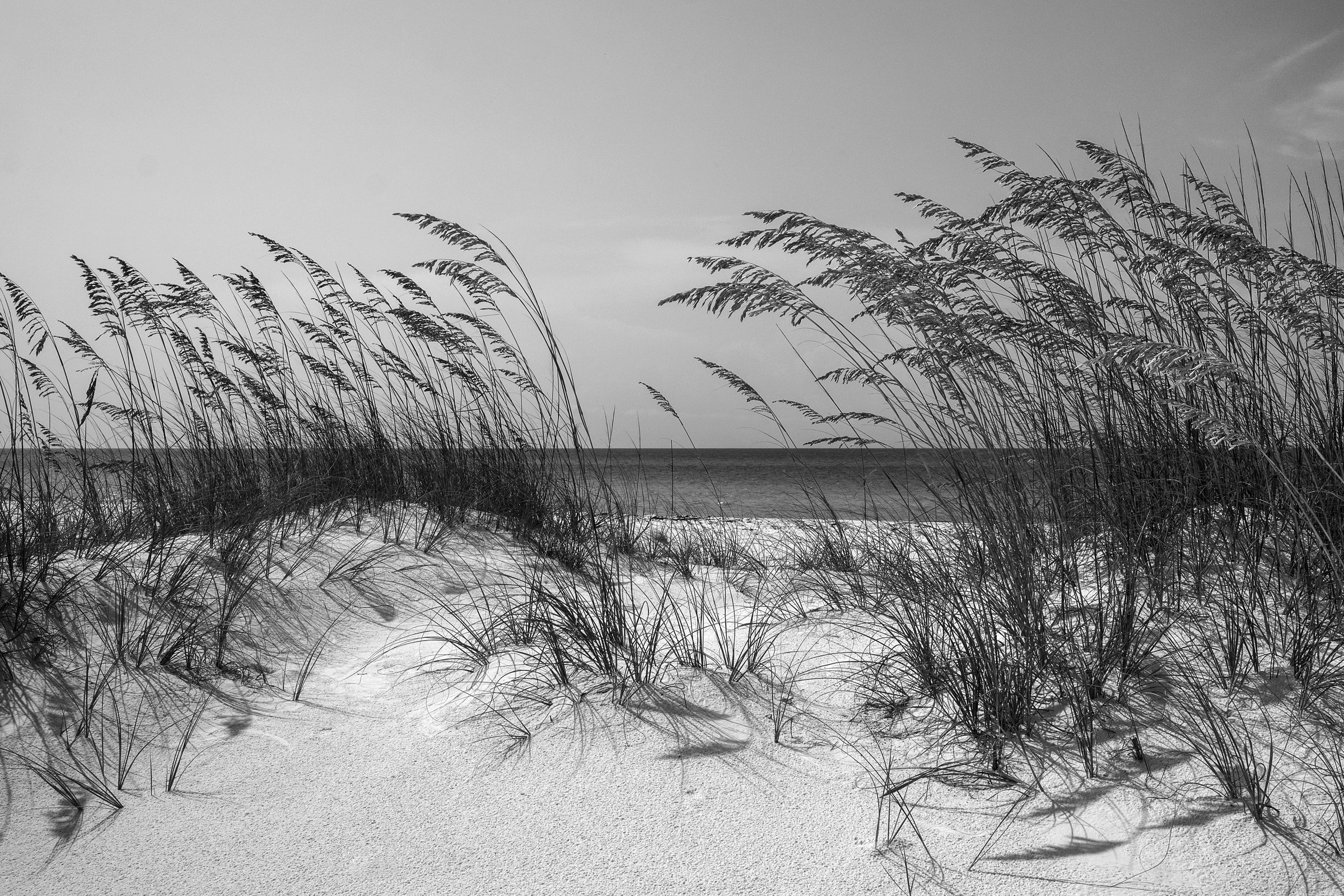 Papermoon Fototapete "Strand Schwarz & Weiß" günstig online kaufen