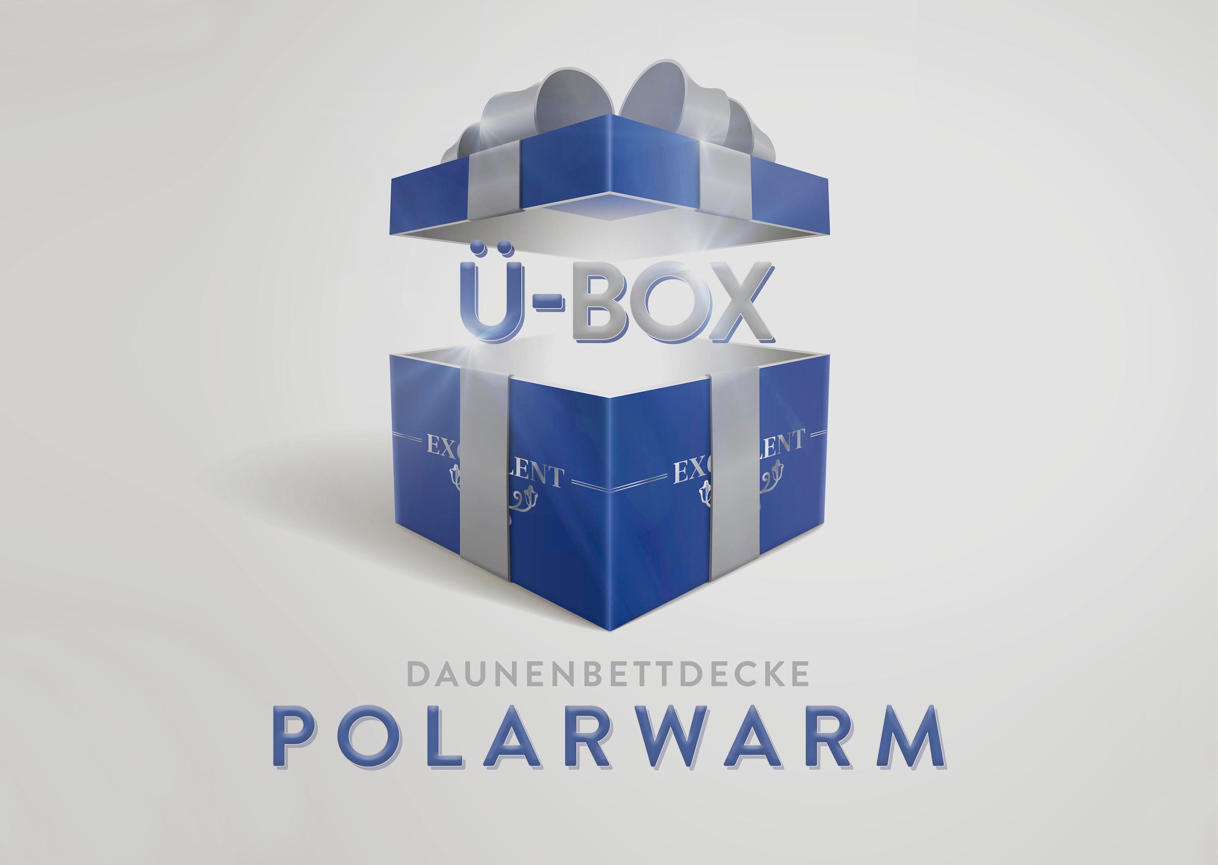 Excellent Daunenbettdecke "Überraschungsbox", extrawarm, Füllung 90% Daunen, 10% Federn, Bezug Baumwolle, (1 St.), absol