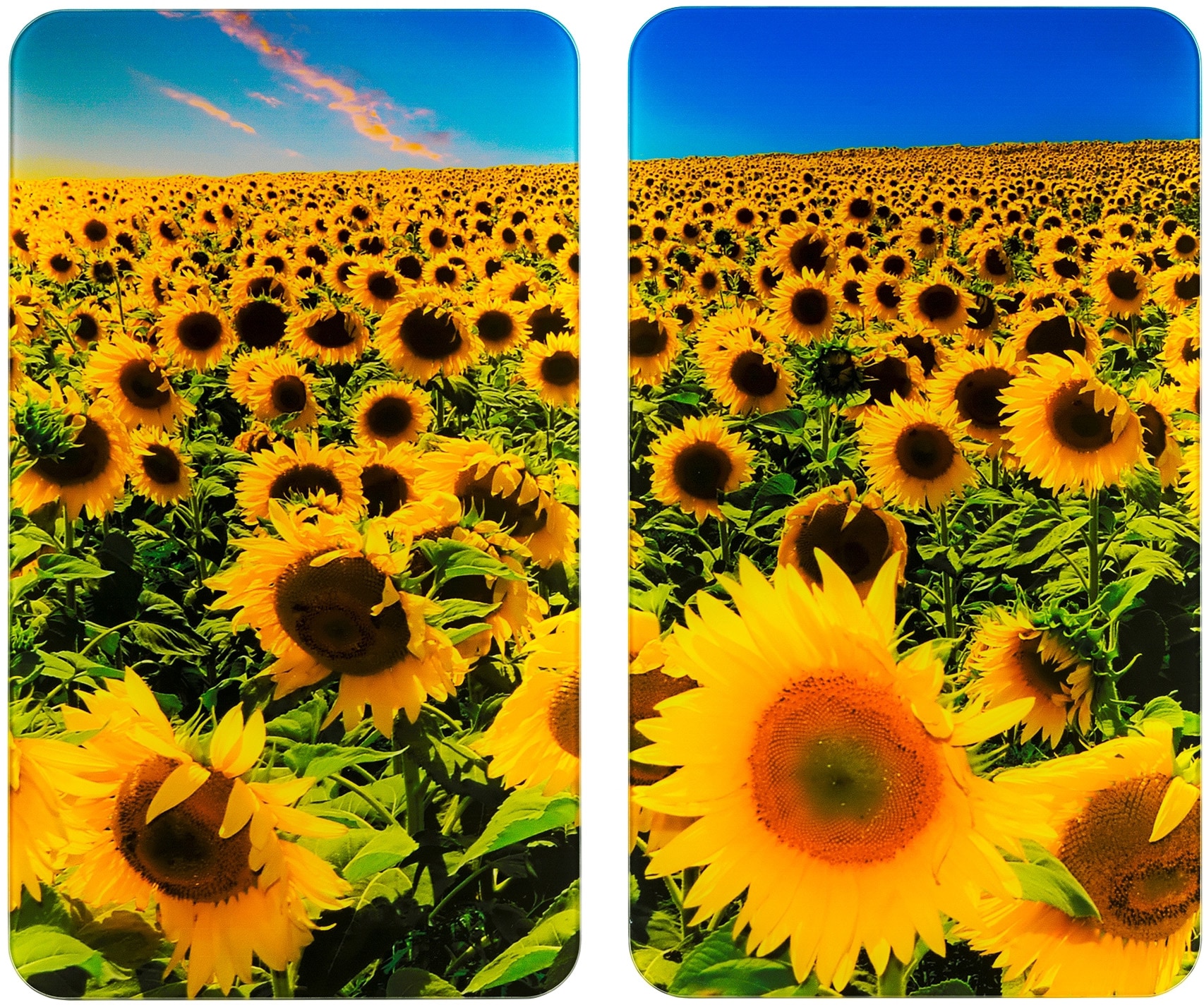 WENKO Herd-Abdeckplatte »Universal Sonnenblumenfeld«, (Set, 2 tlg.)