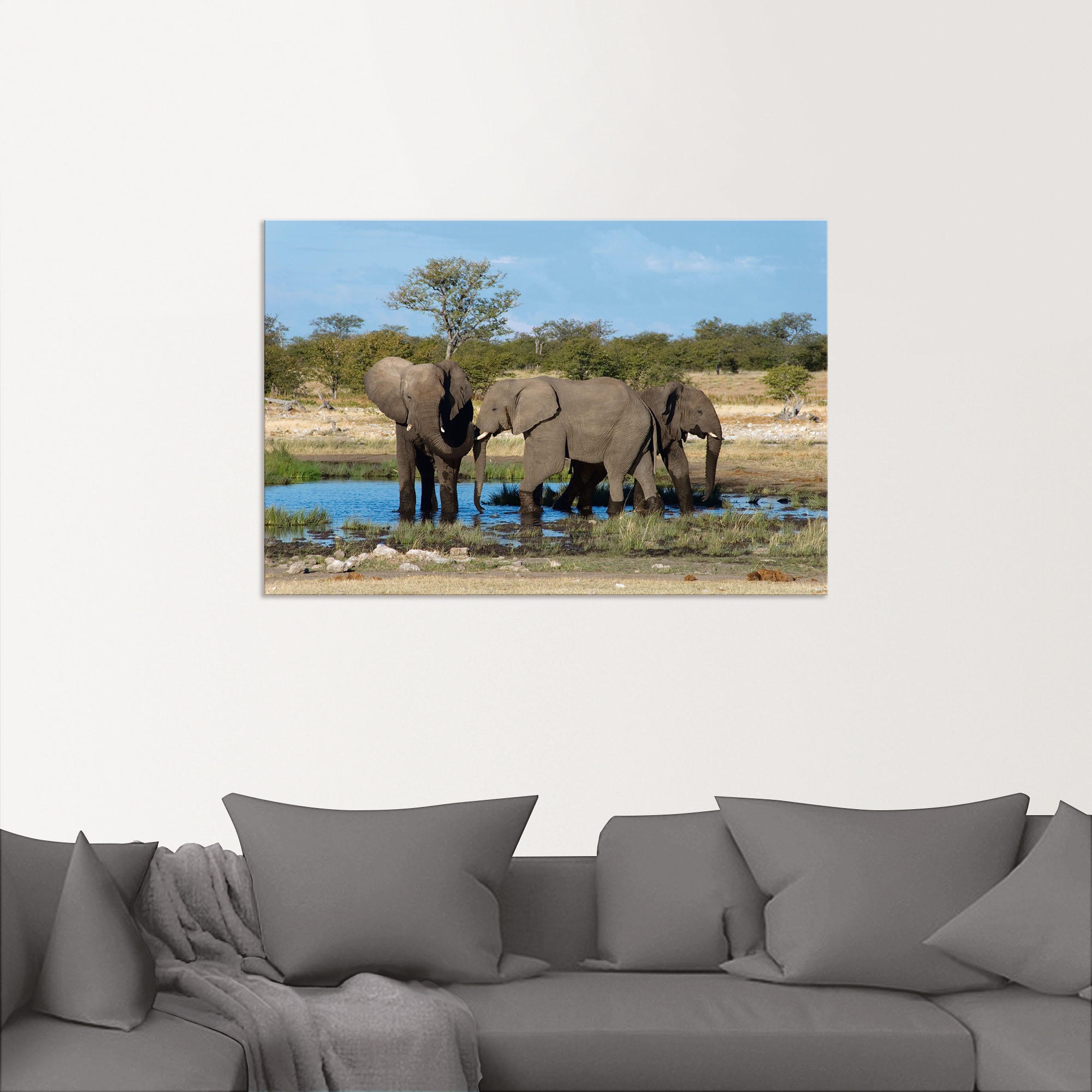 Artland Wandbild »Afrikanischer Elefant EtoshaNationalpark«, Elefanten Bilder, (1 St.), als Leinwandbild, Wandaufkleber in verschied. Größen