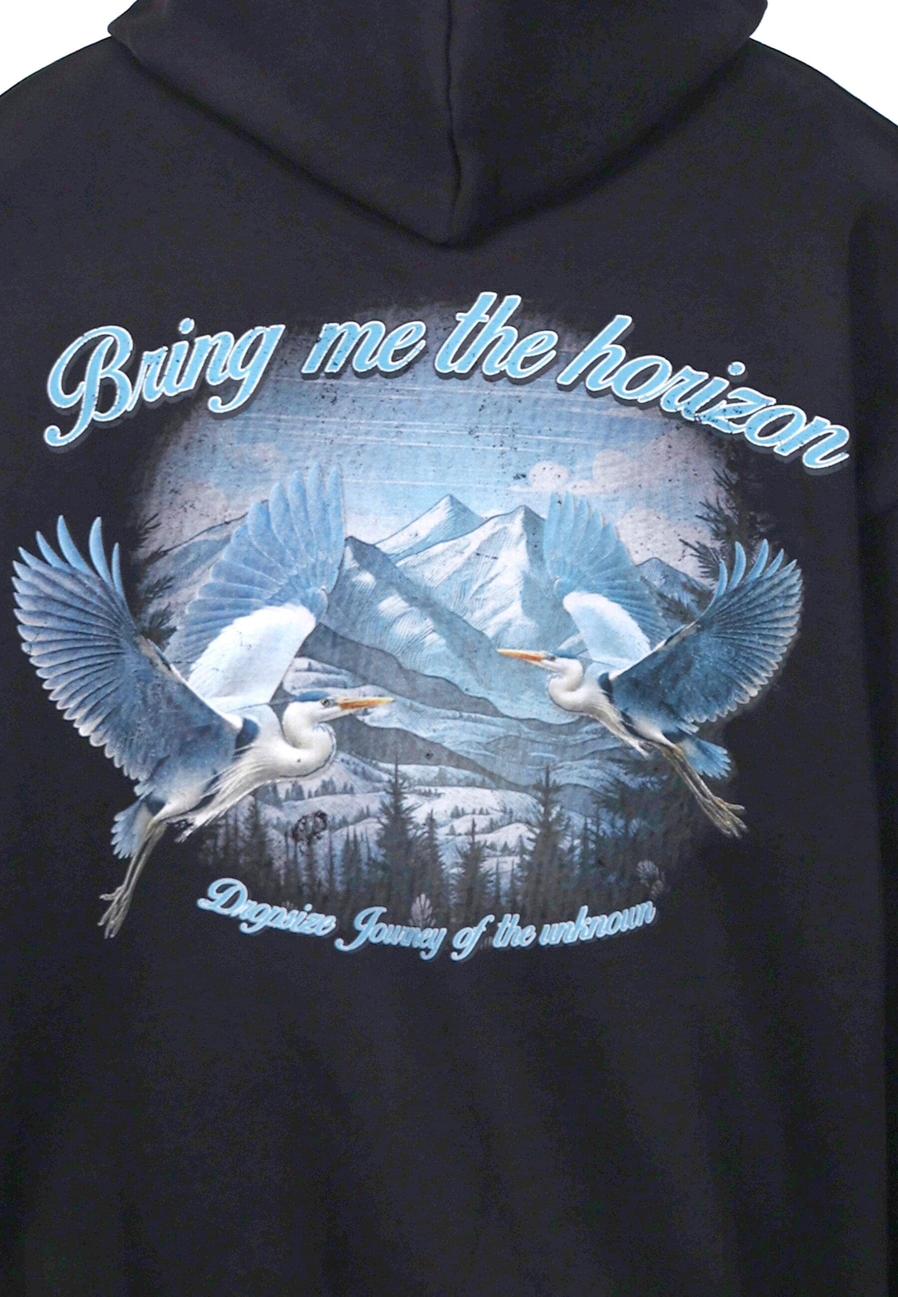 Dropsize Kapuzensweatshirt »Dropsize HEAVY OVERSIZE HORIZON HOODIE«, 1 Stk.
