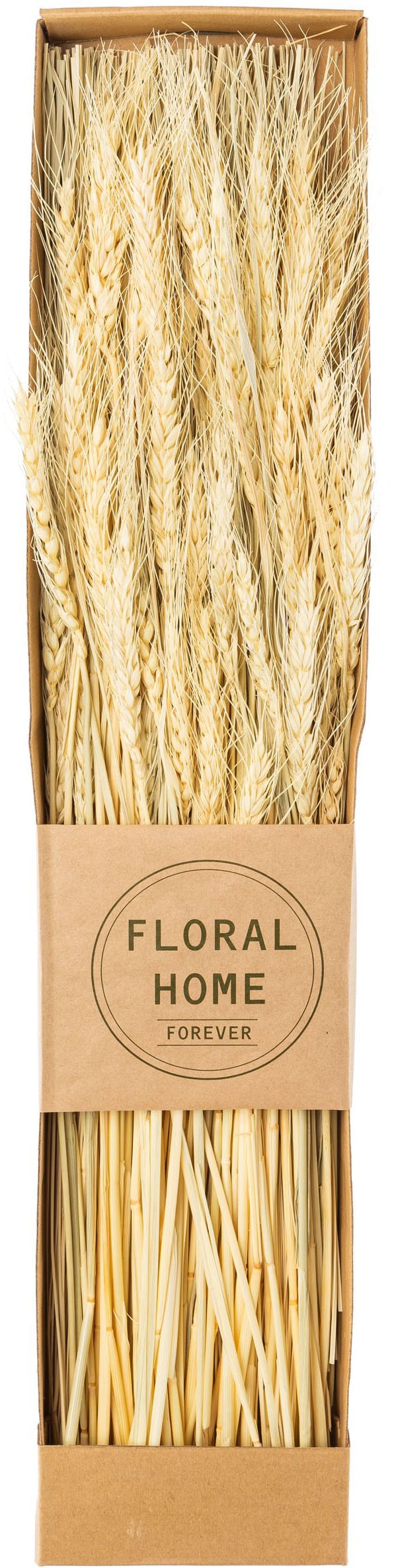 Creativ green Trockenblume »Trockenblumen-Bündel« in 3 Sorten