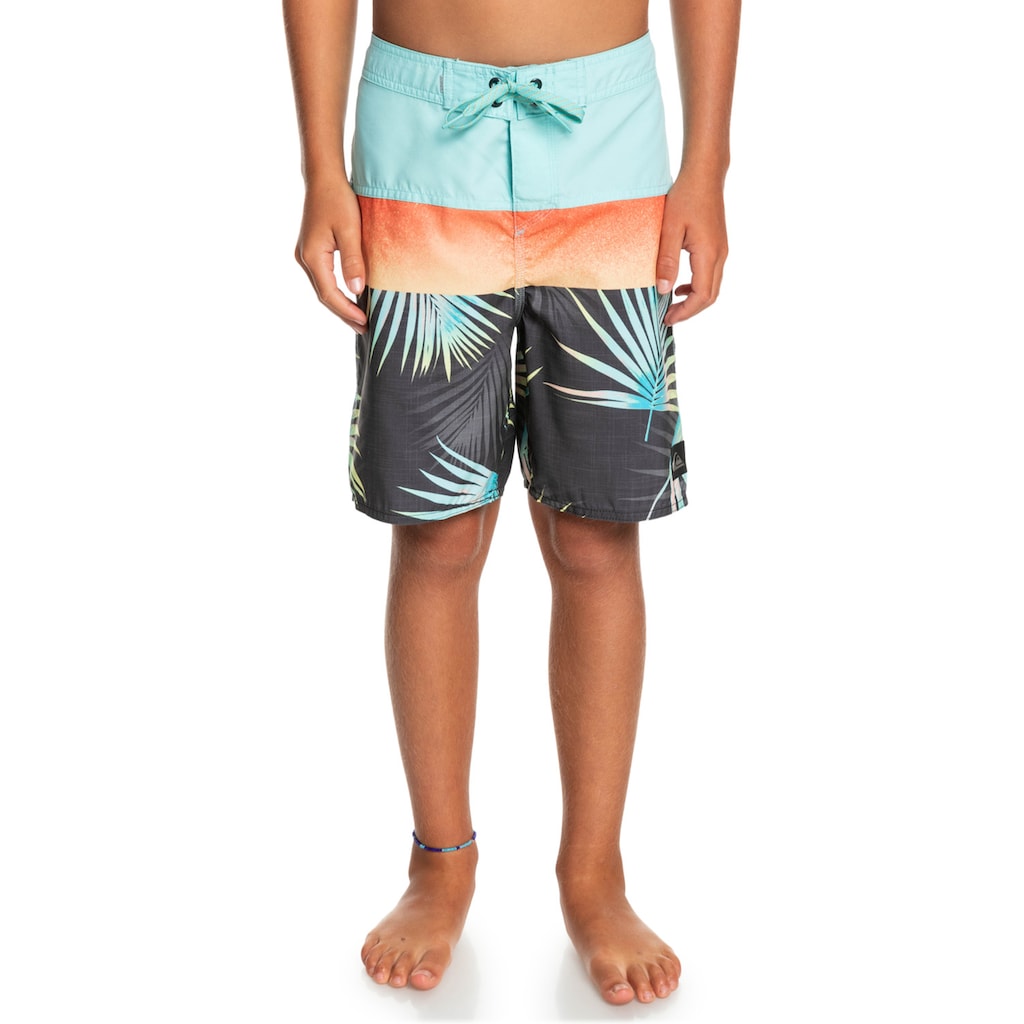 Quiksilver Boardshorts »Everyday Panel 17"«